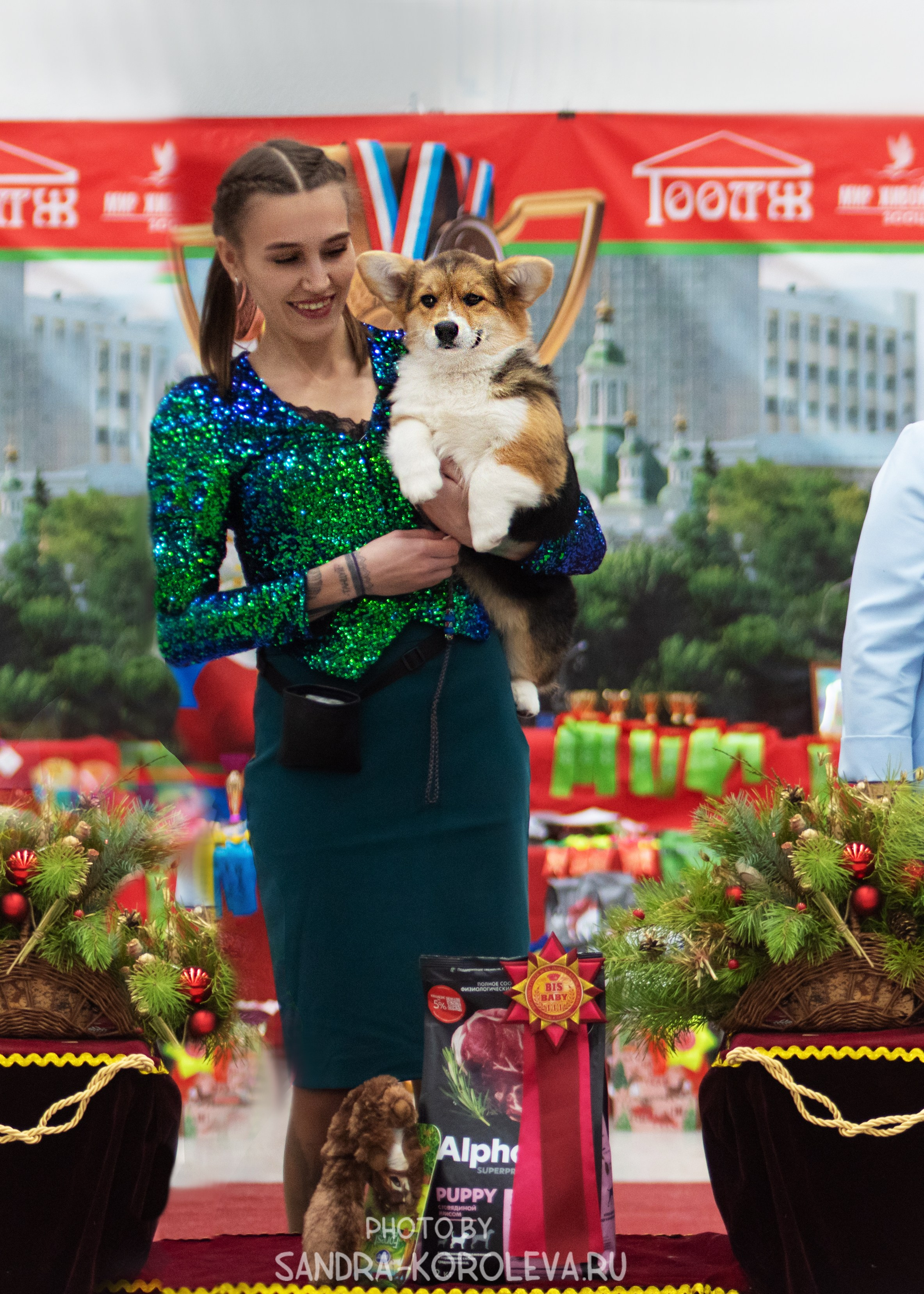 Выставка собак тюмень 10.12.2022. Дог-фотограф в Тюмени Александра Королева