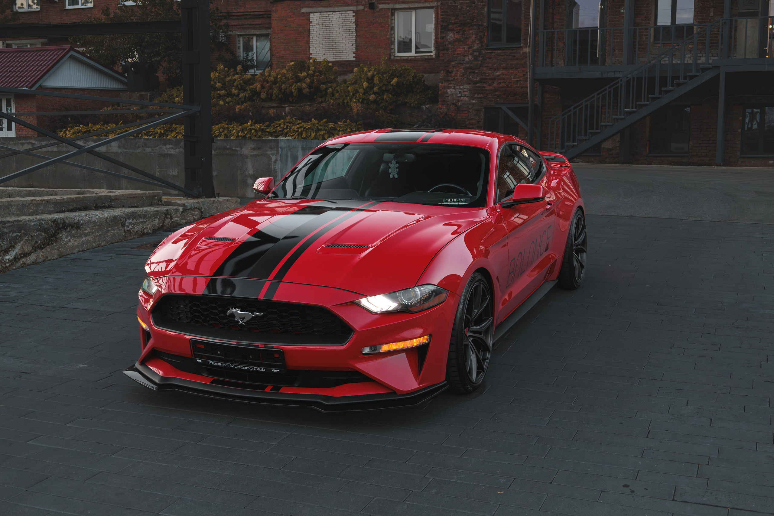 Mustang. Мелехов Дмитрий|Фотограф|Видеограф