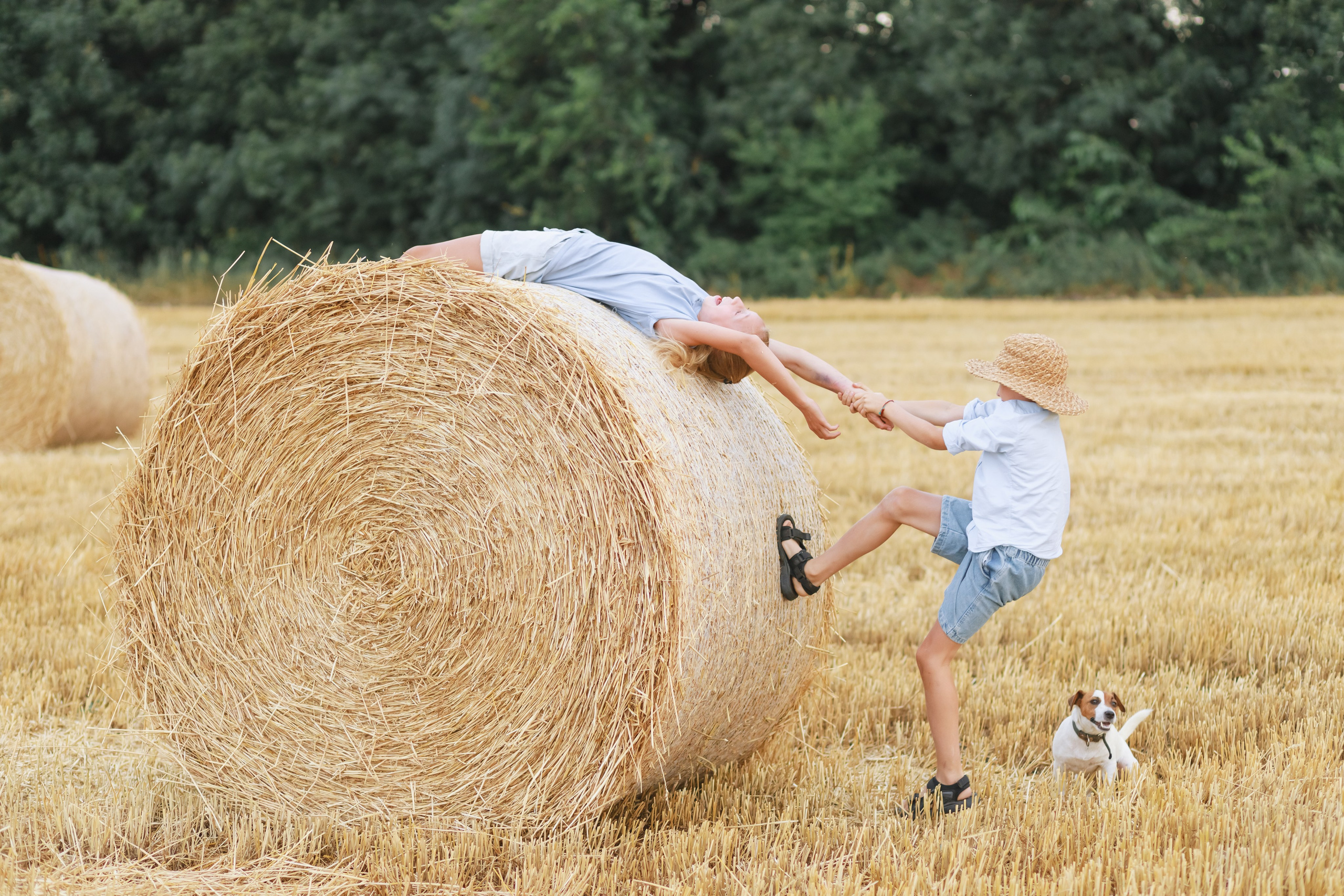 В стогах. Детский и семейный фотограф в Краснодаре Альбина Морозова