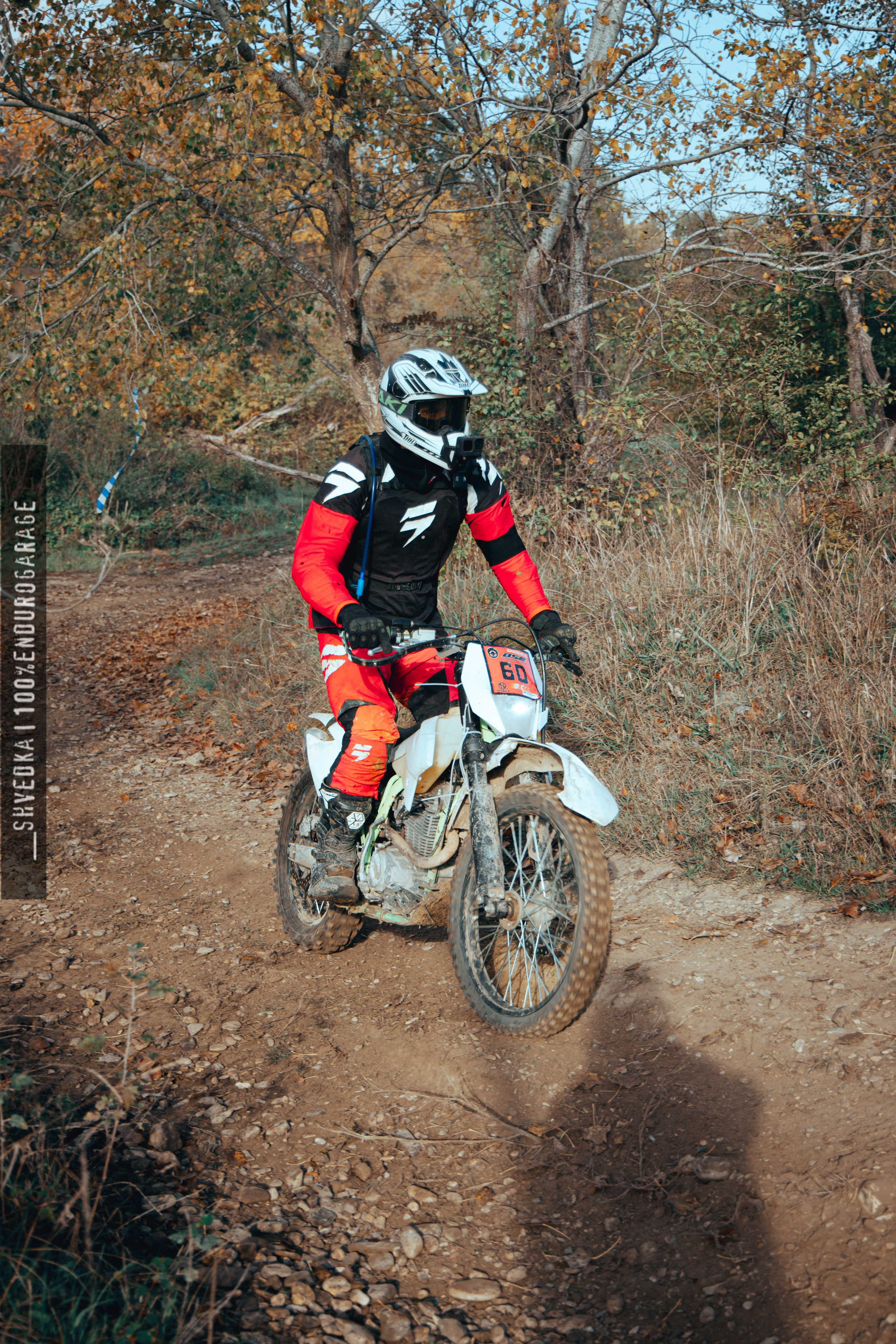 2 ЛЕСНОЙ ДЕНЬ. Ваш экстрим фотограф Кудрева Яна