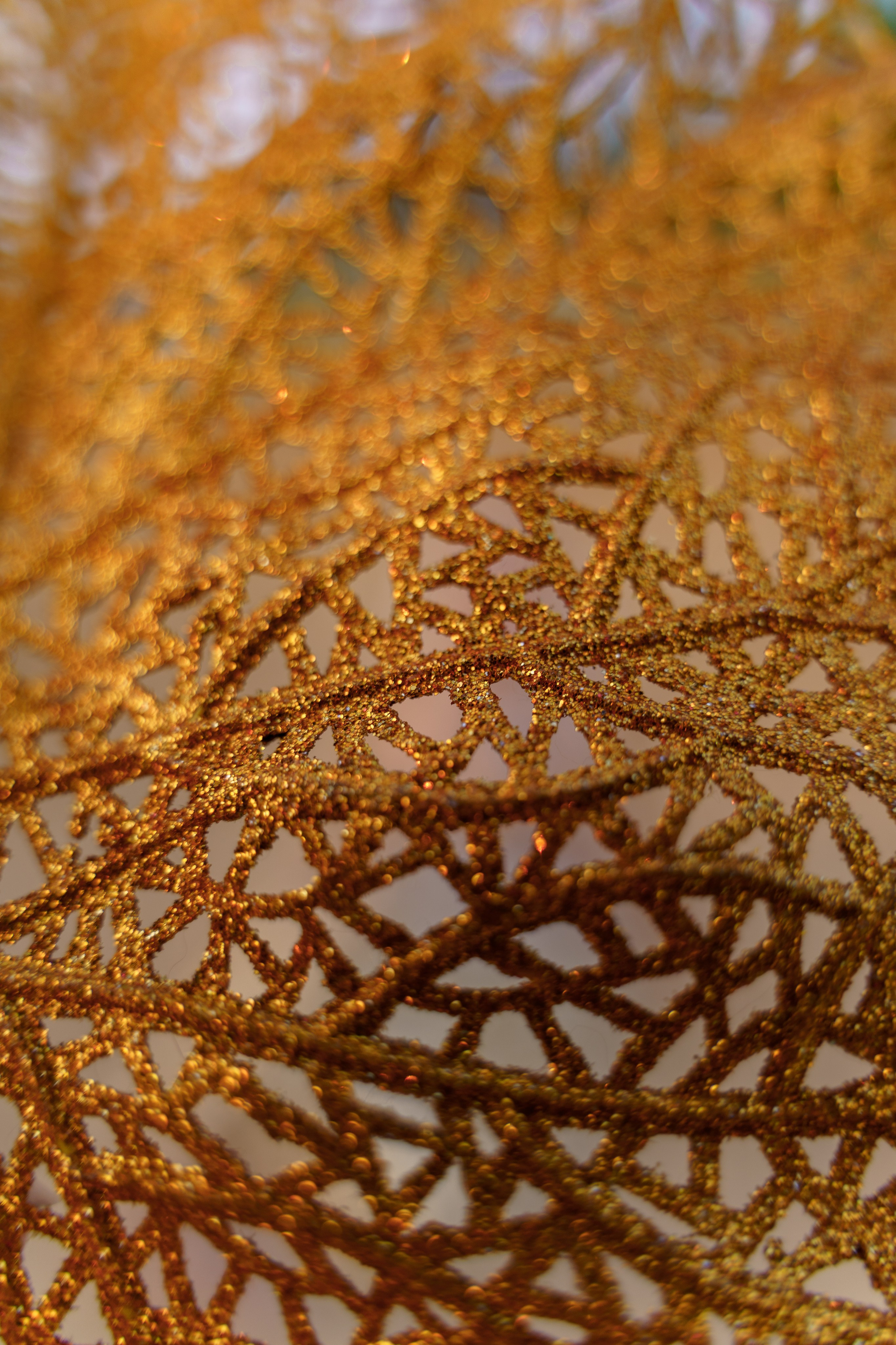 Ваш фотограф Северск | Томск