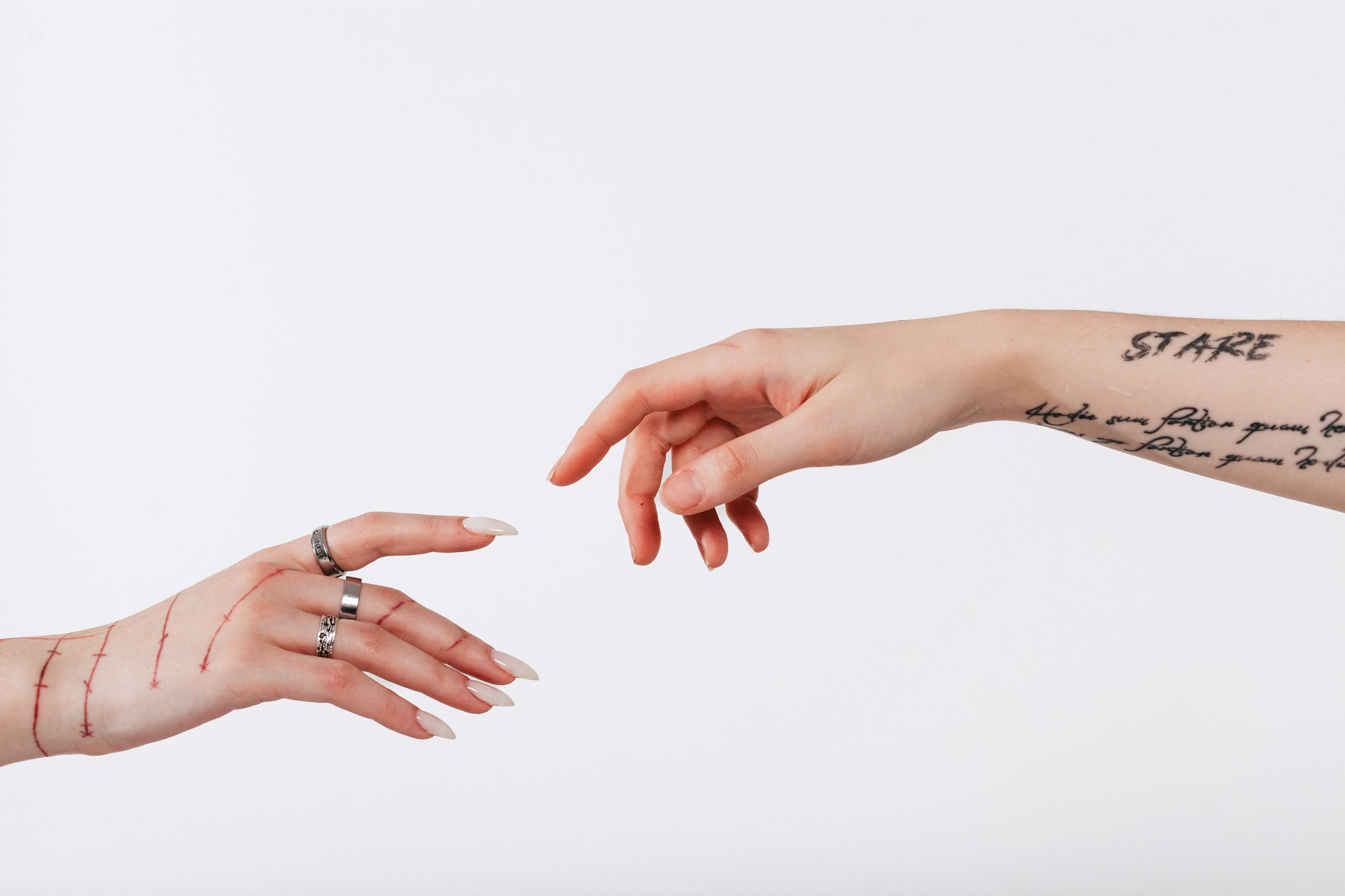 Студия близняшки. Фотограф-анималист Татьяна Степанова