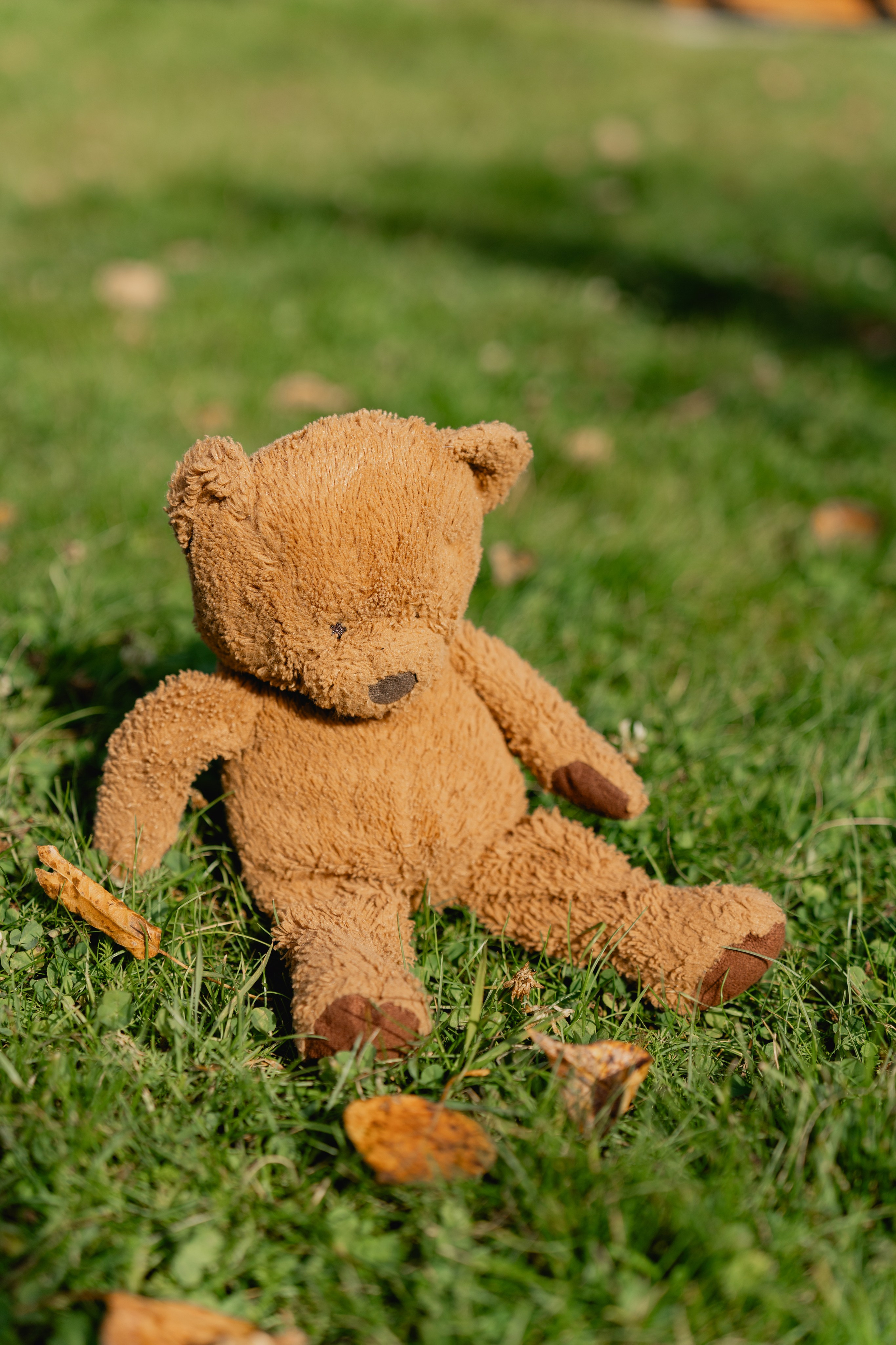 Осенняя прогулка с сыном. Виктория Саханкова — портретный и семейный фотограф в Москве
