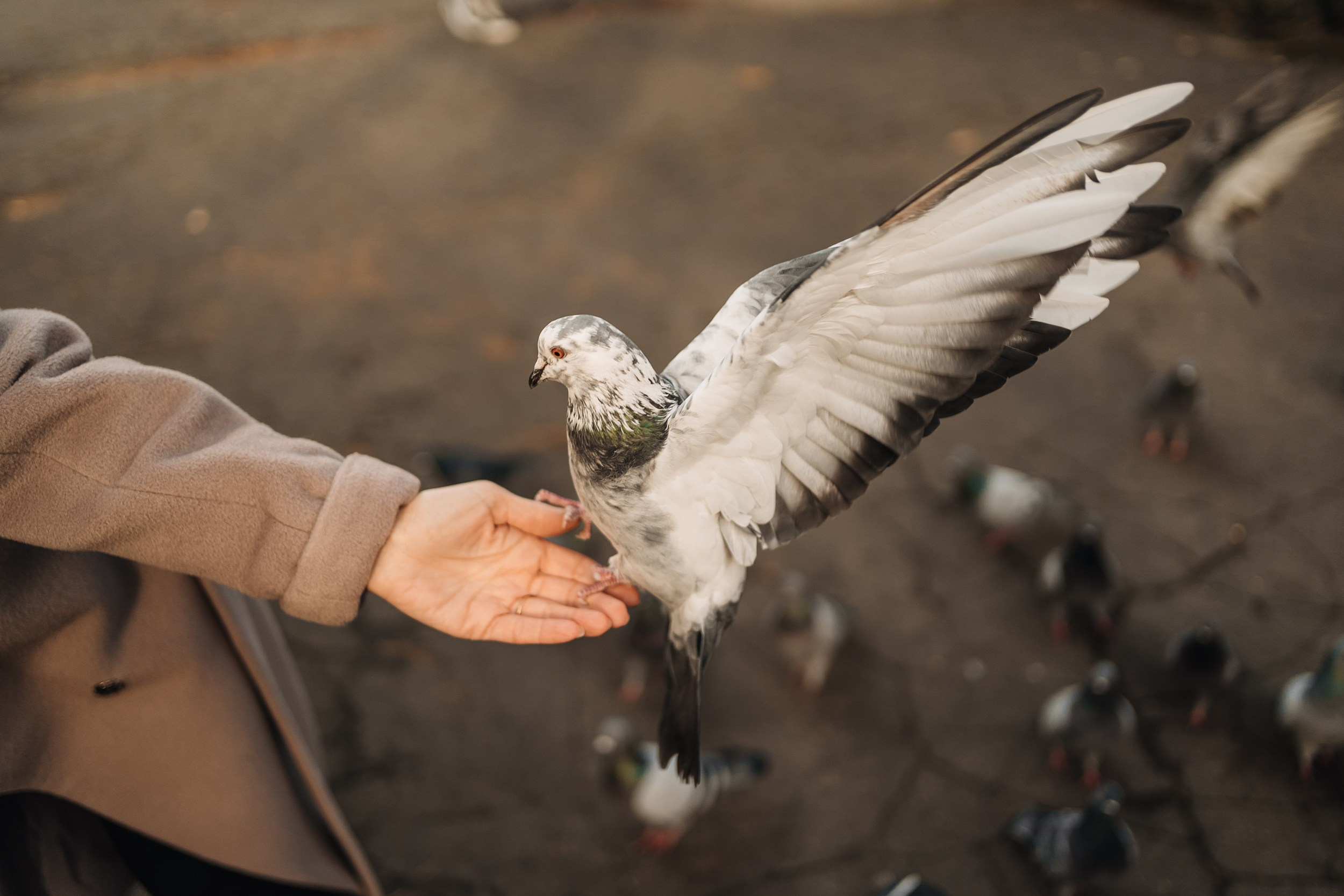 Наташа и Соня. Свадебный и семейный фотограф в Калининграде Алина Свиклан