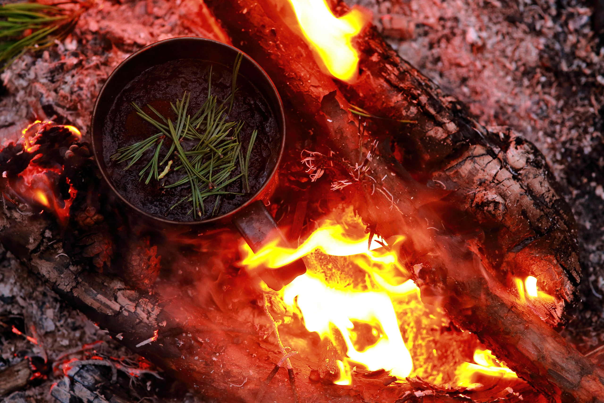 Средняя полоса. Свадебный и репортажный фотограф в Ярославле и Санкт-Петербурге Роман Микрюков