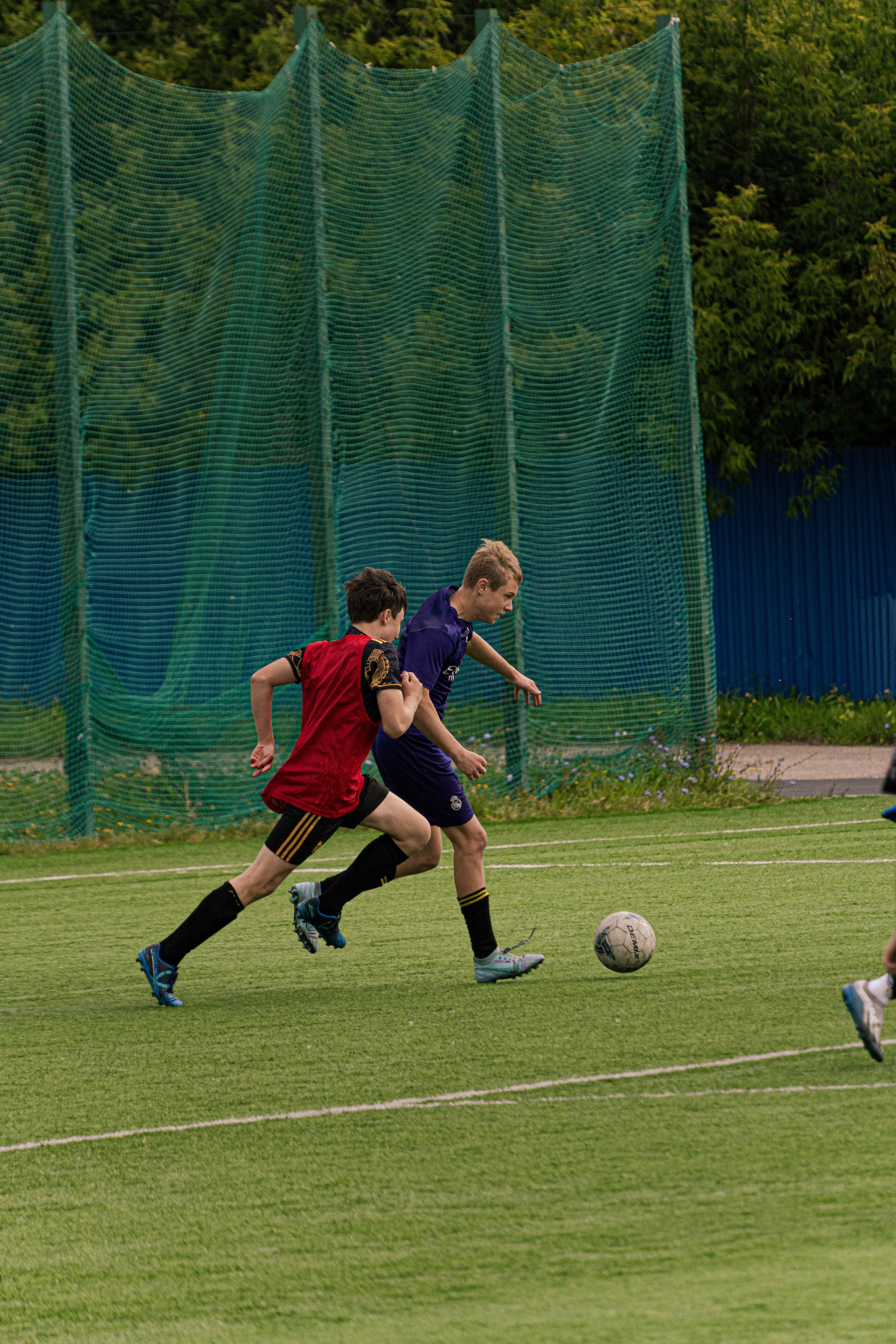 Живые фото. Главная