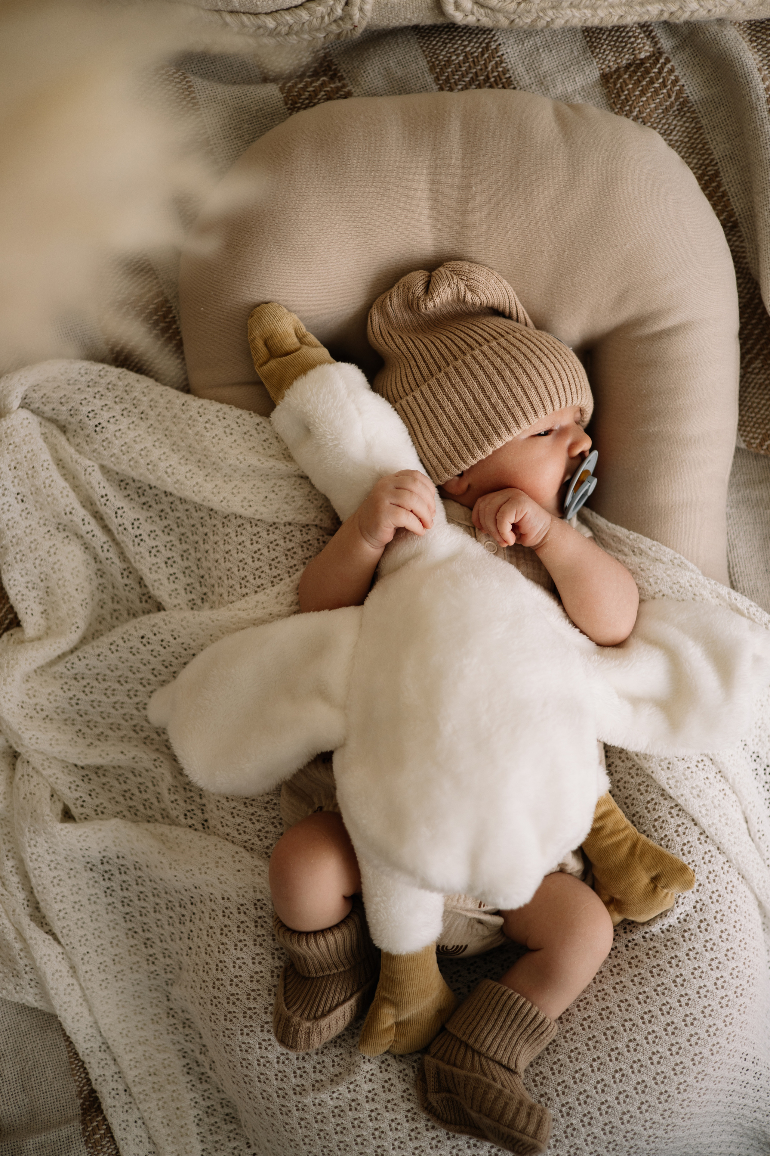 Newborn фотограф Краснодар. Семейный и NEWBORN фотограф г. Краснодар