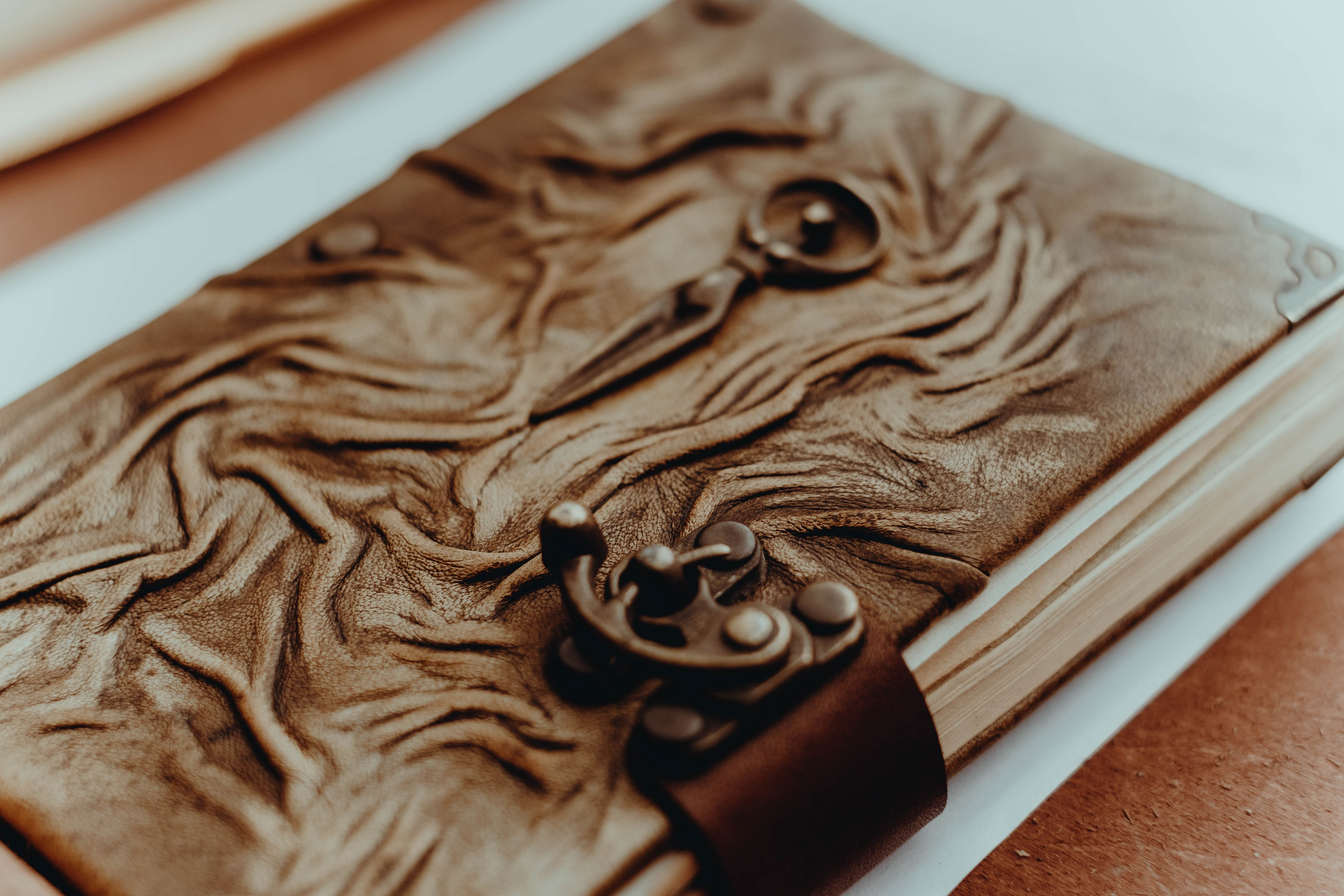 Отряд: эпоха Кометы. Фотограф Аннё| Москва