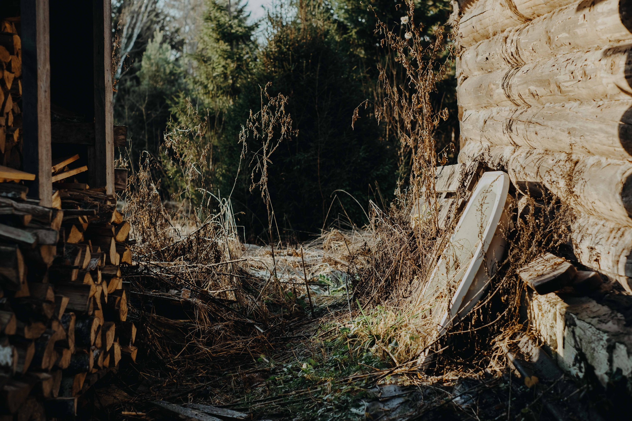 Terra Nova: Пробуждение |Грани Миров. Фотограф Аннё| Москва