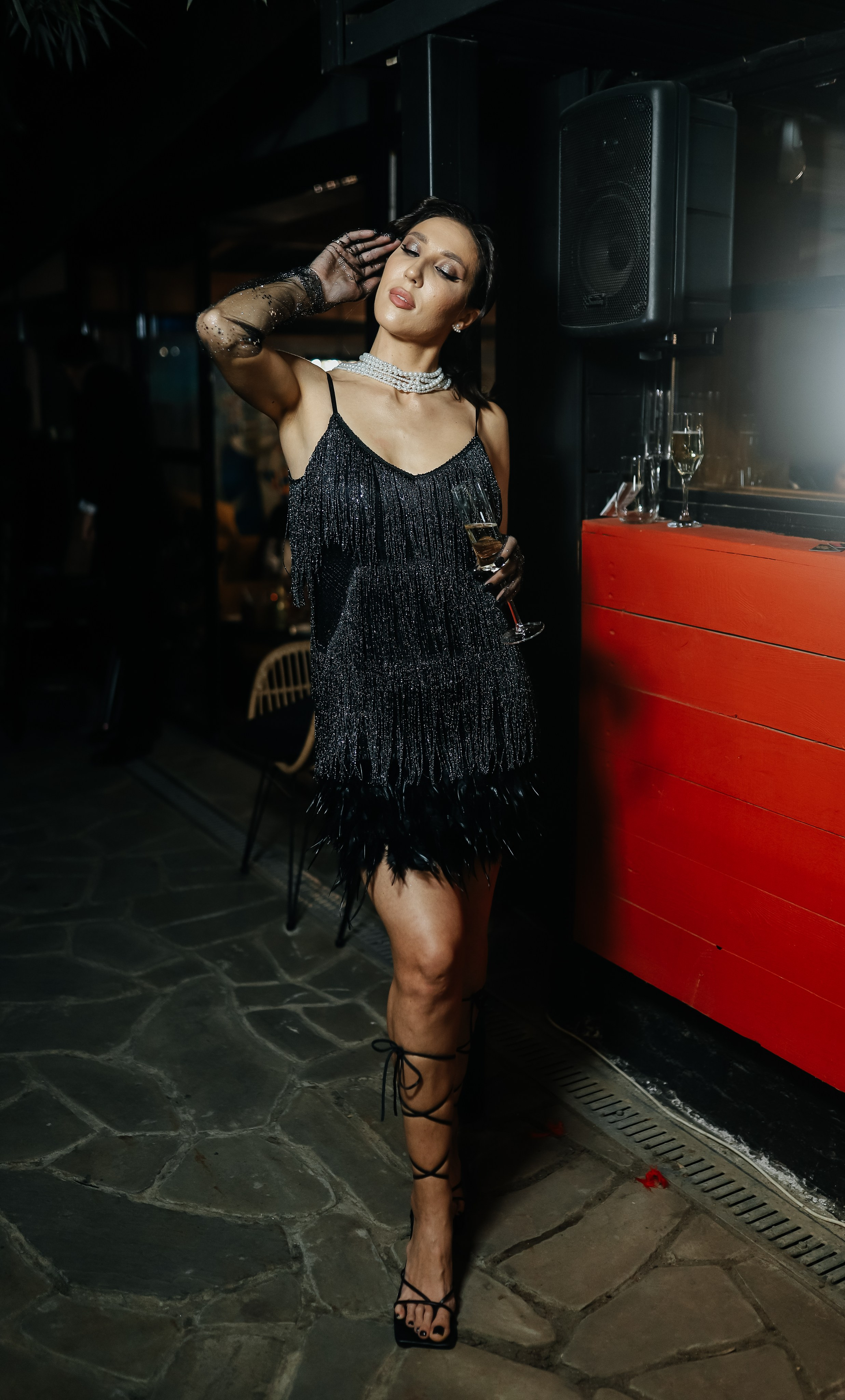 25.Диана и гости