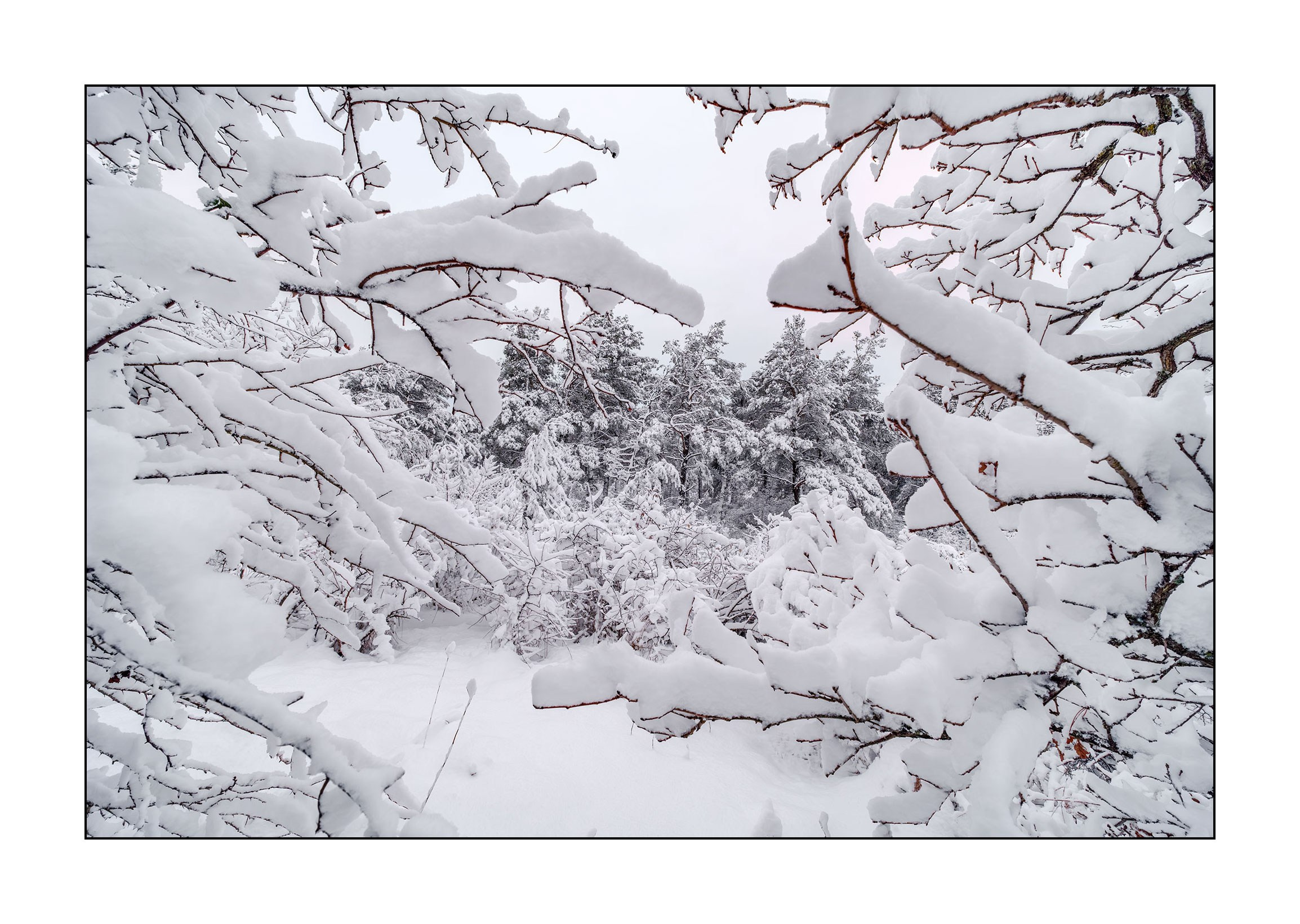 фотограф Геленджик