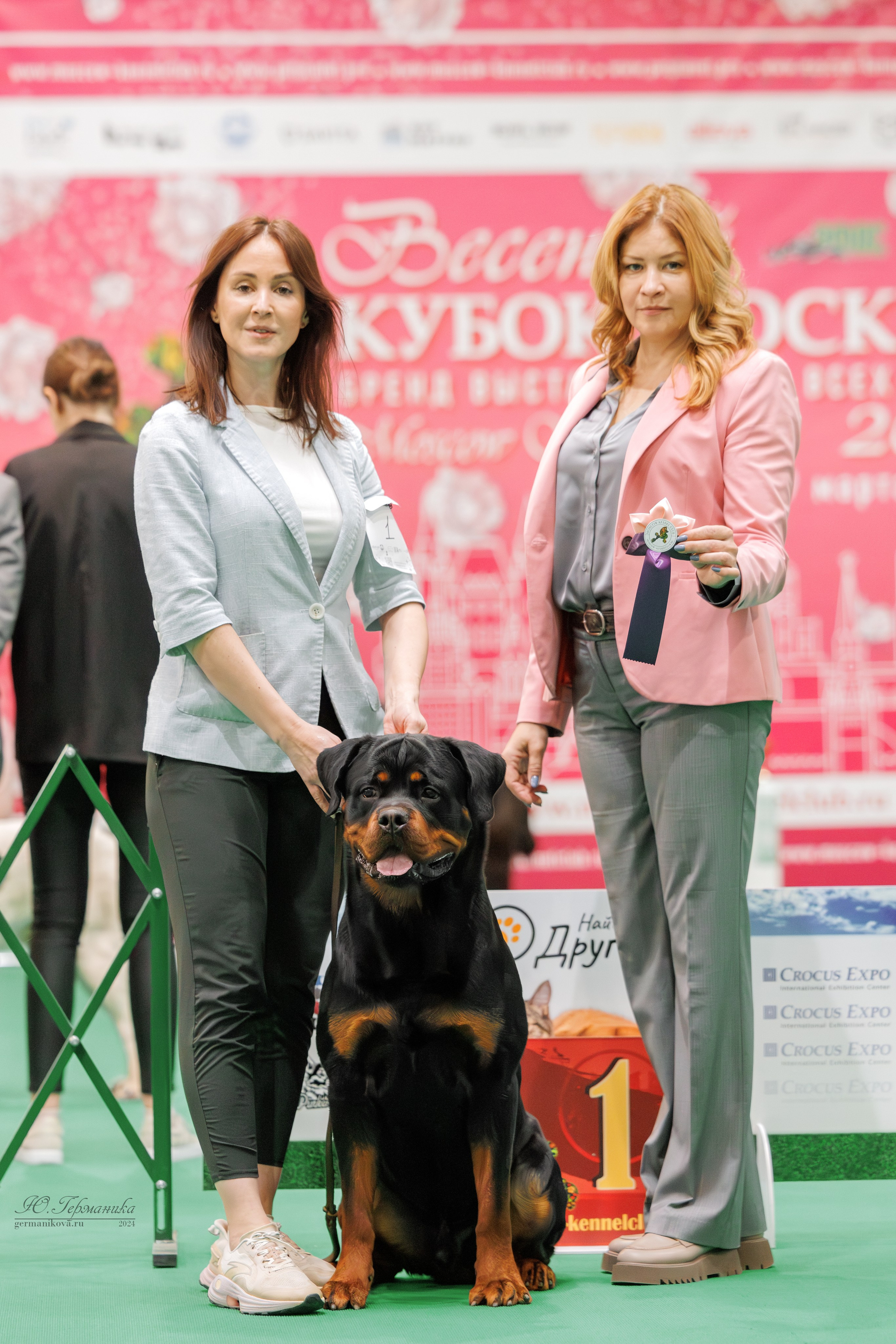 Сфера и Крокус 8,9,16 и 30.03.2025. Фотограф-анималист Юлия Германика