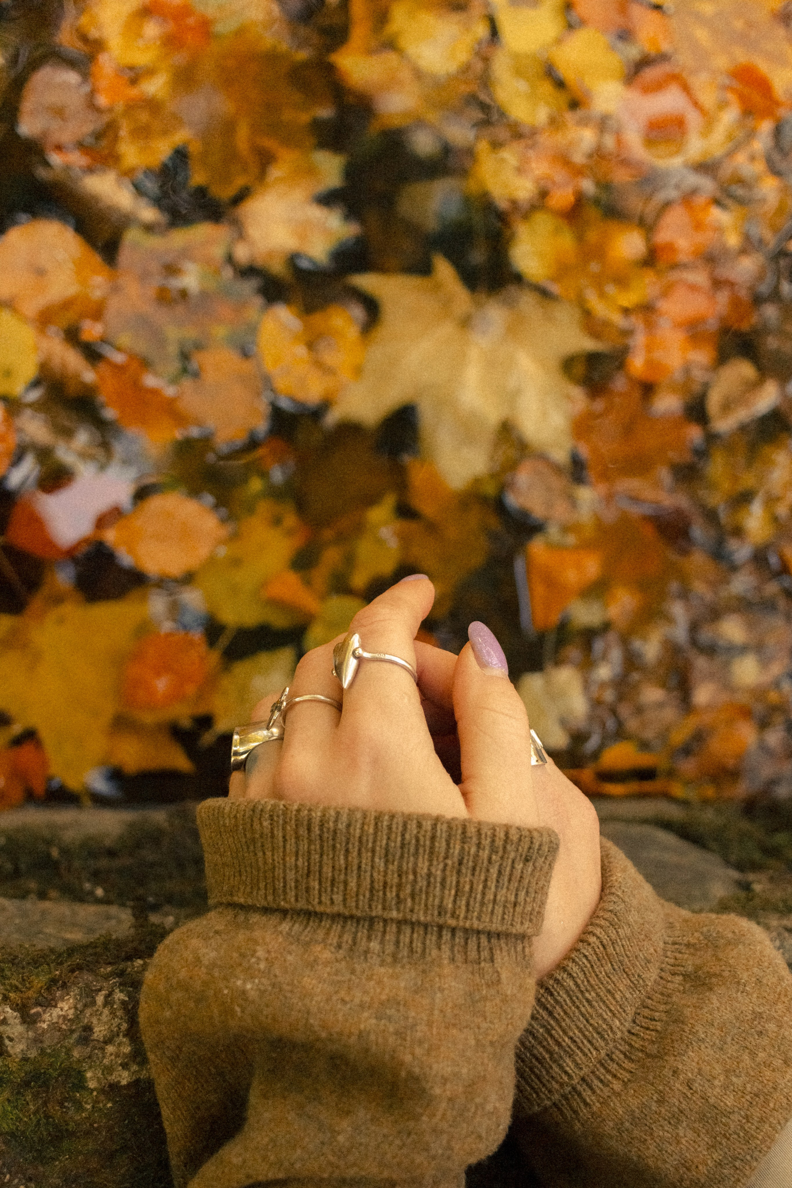 Фотопрогулка в парке Калининград. Портретный фотограф в Калининграде Рита Холодова