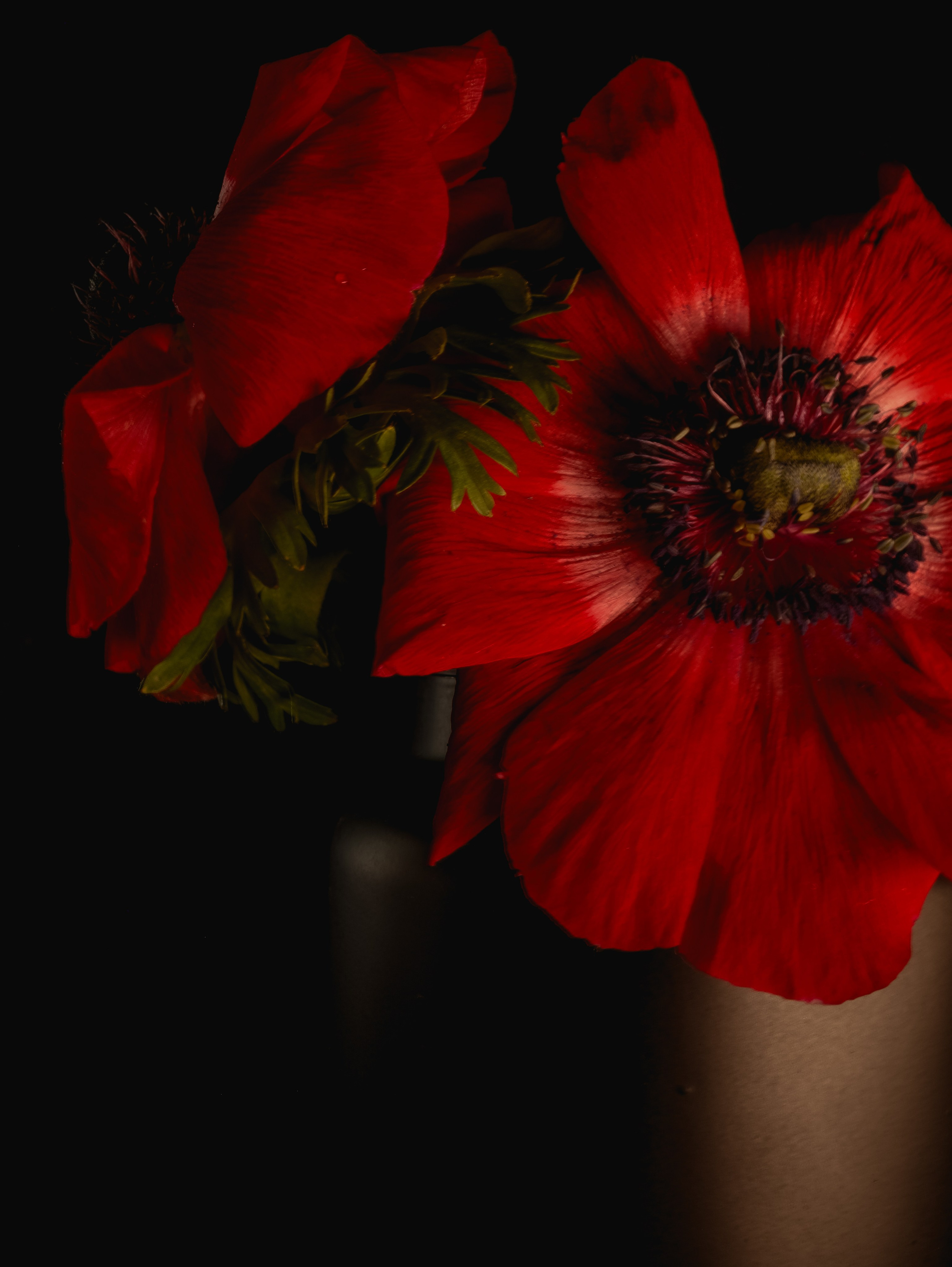 " важно фотографировать не то, что находится перед тобой , а фиксировать то, что чувствуешь " Fabrizio Ferri