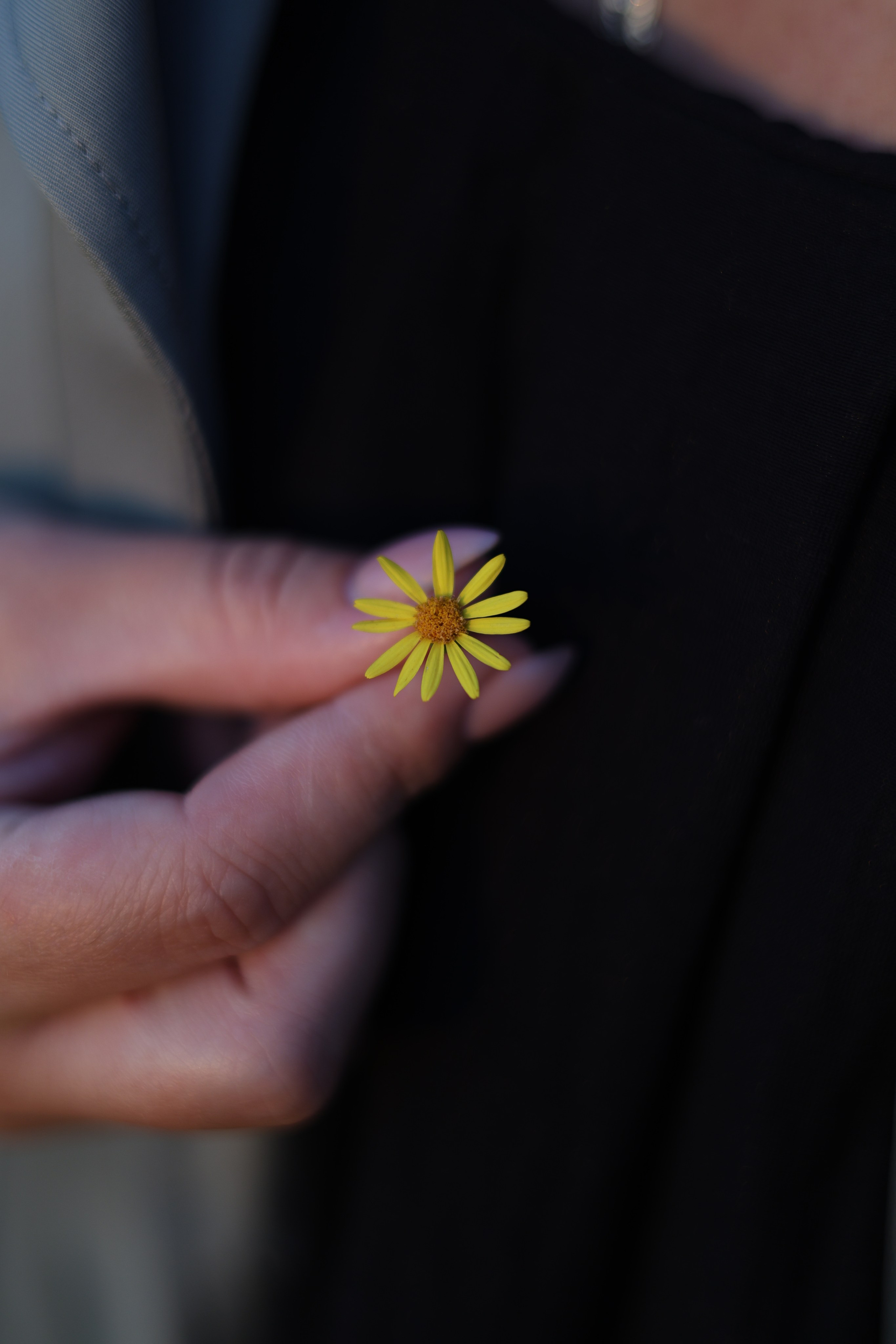 Катя. Семейный и детский фотограф в Москве Анастасия Мурга