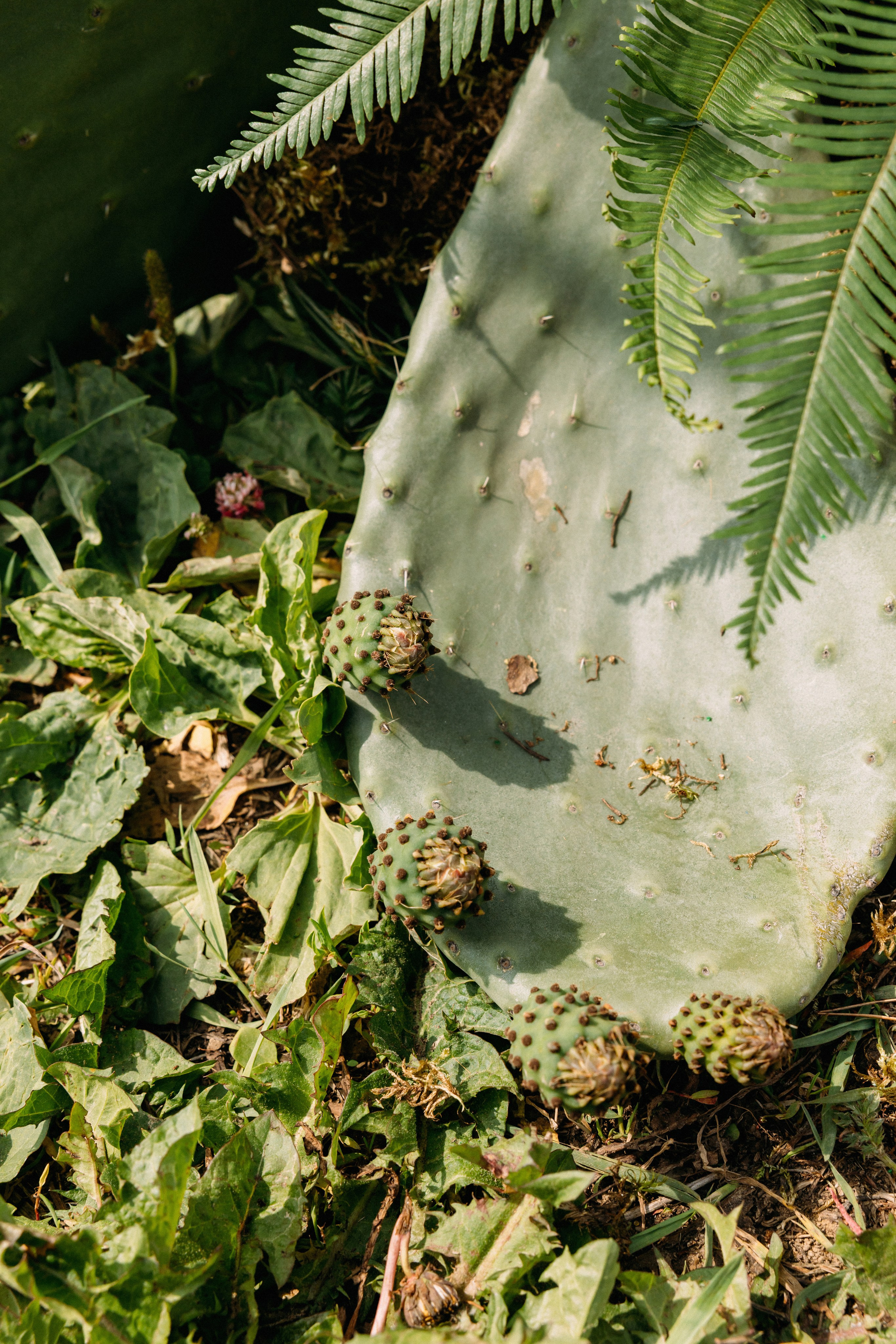 @avtors.agency. Свадебный и репортажный фотограф в Москве Владимир Сергеев | Naysaikolo