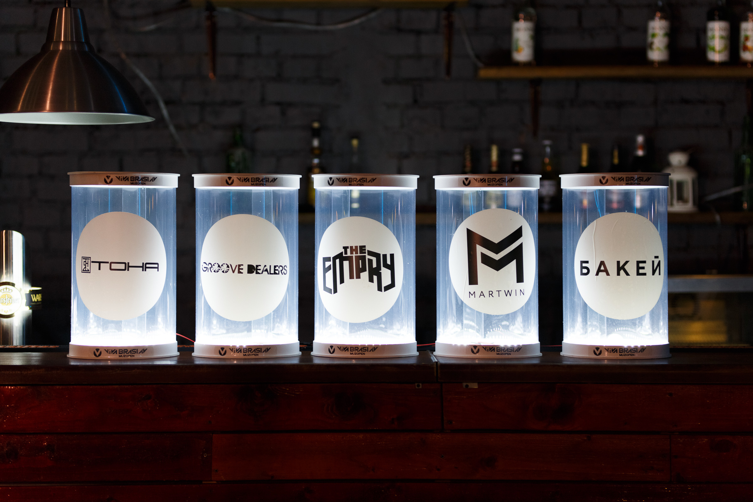 2-й концерт Viva Braslav MuzOpen. Репортажный фотограф Александр Задорин, Минск, Беларусь