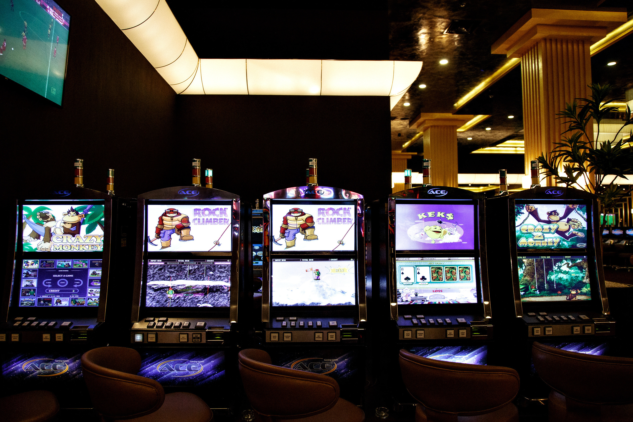 Концерт Гоши Куценко в M1. Репортажный фотограф Александр Задорин, Минск, Беларусь