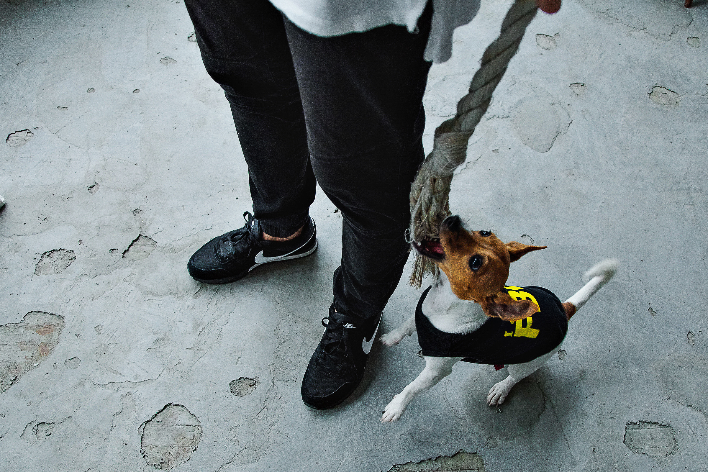 Дима & Настя. Репортажный фотограф Александр Задорин, Минск, Беларусь