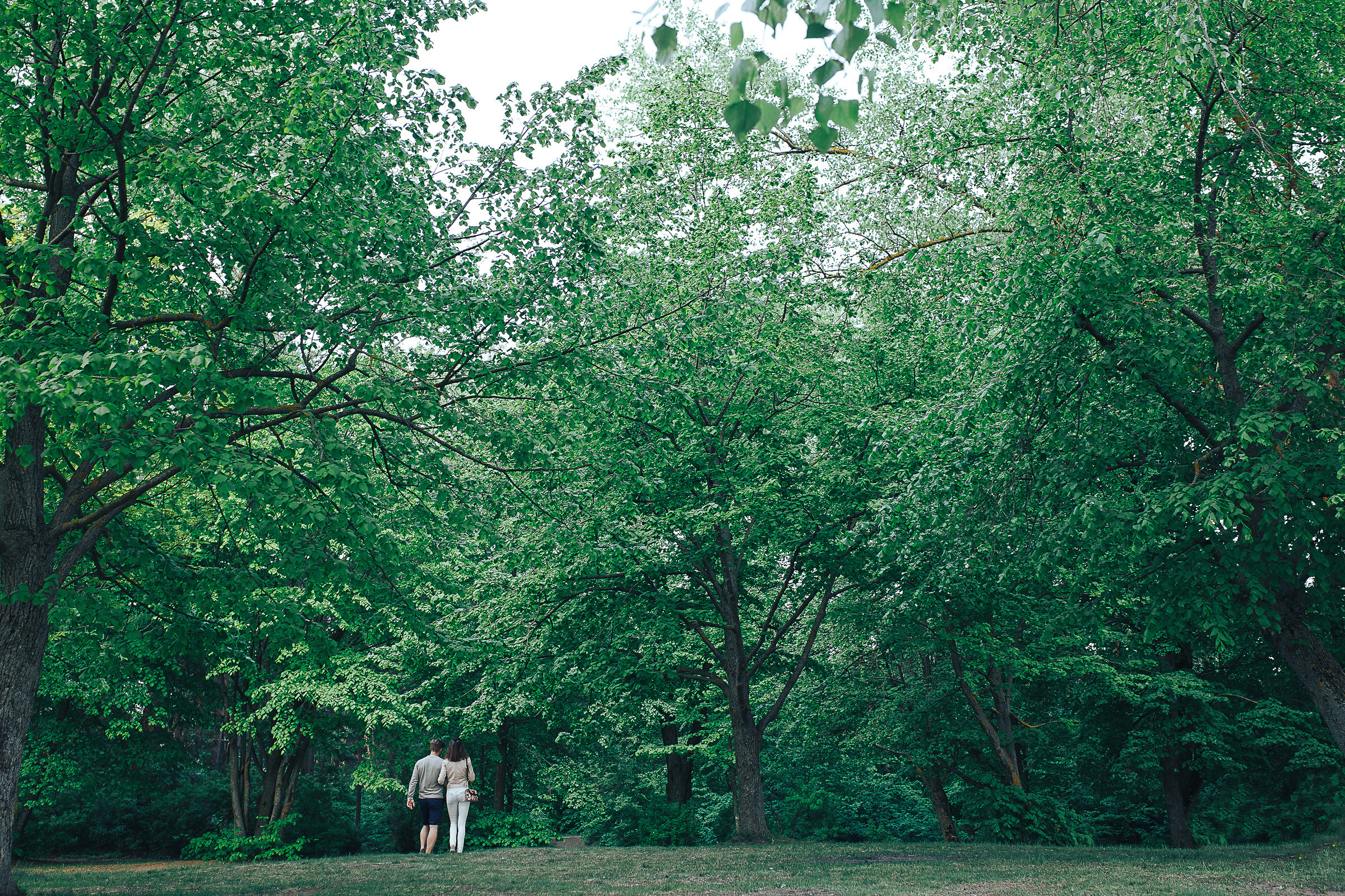 Константин & Марина. Репортажный фотограф Александр Задорин, Минск, Беларусь