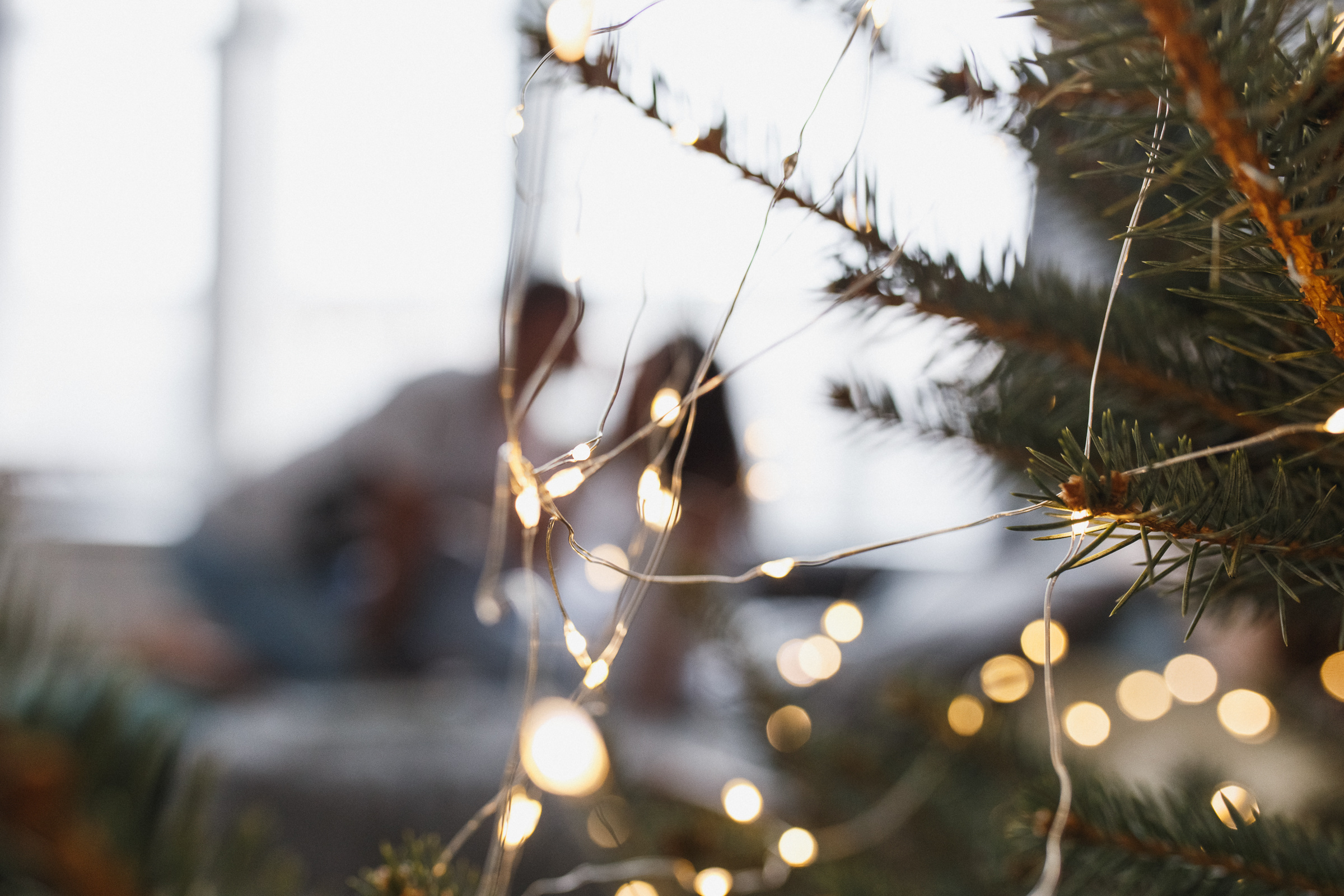 Николай & Диана. Репортажный фотограф Александр Задорин, Минск, Беларусь