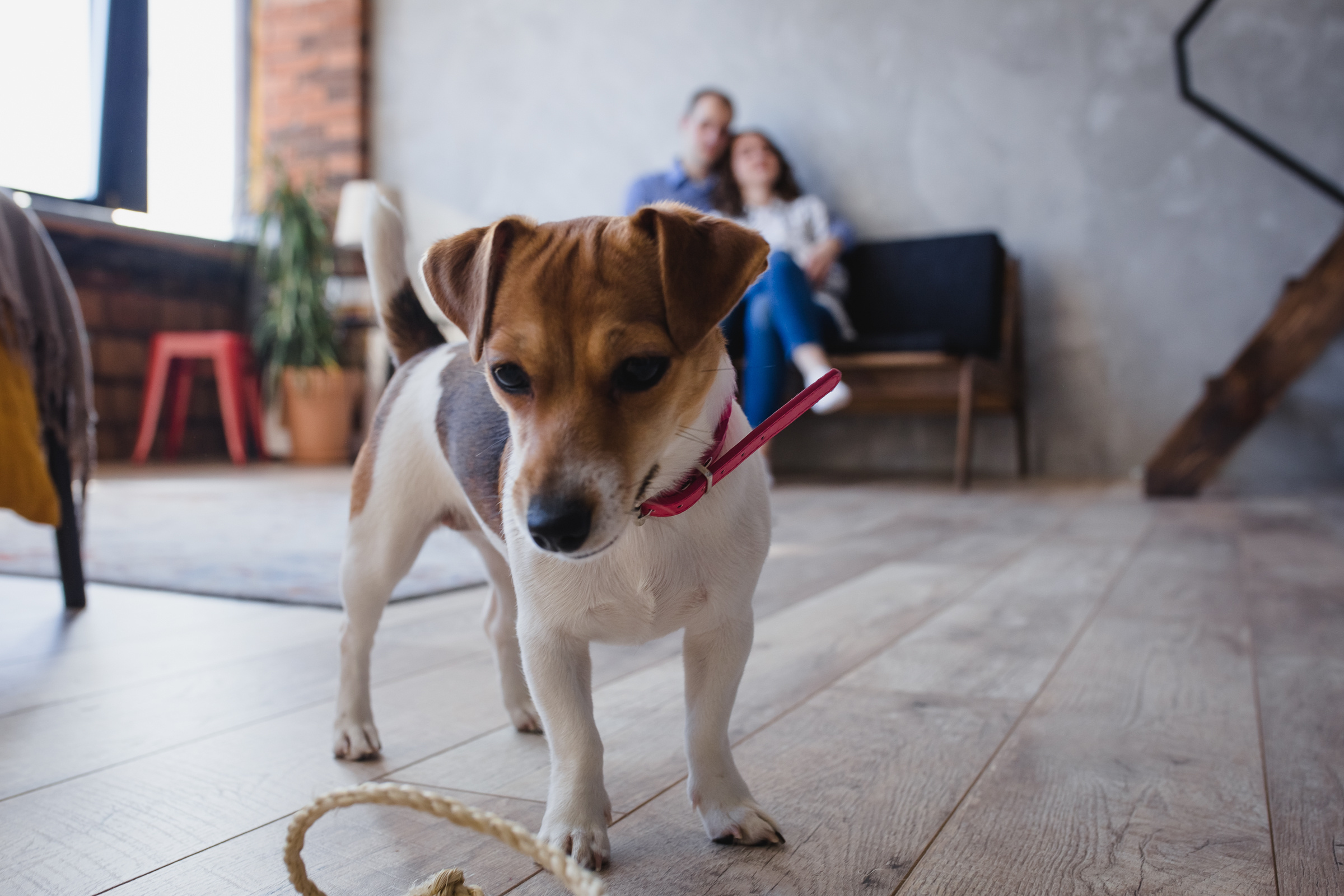 Алексей & Оксана. Репортажный фотограф Александр Задорин, Минск, Беларусь