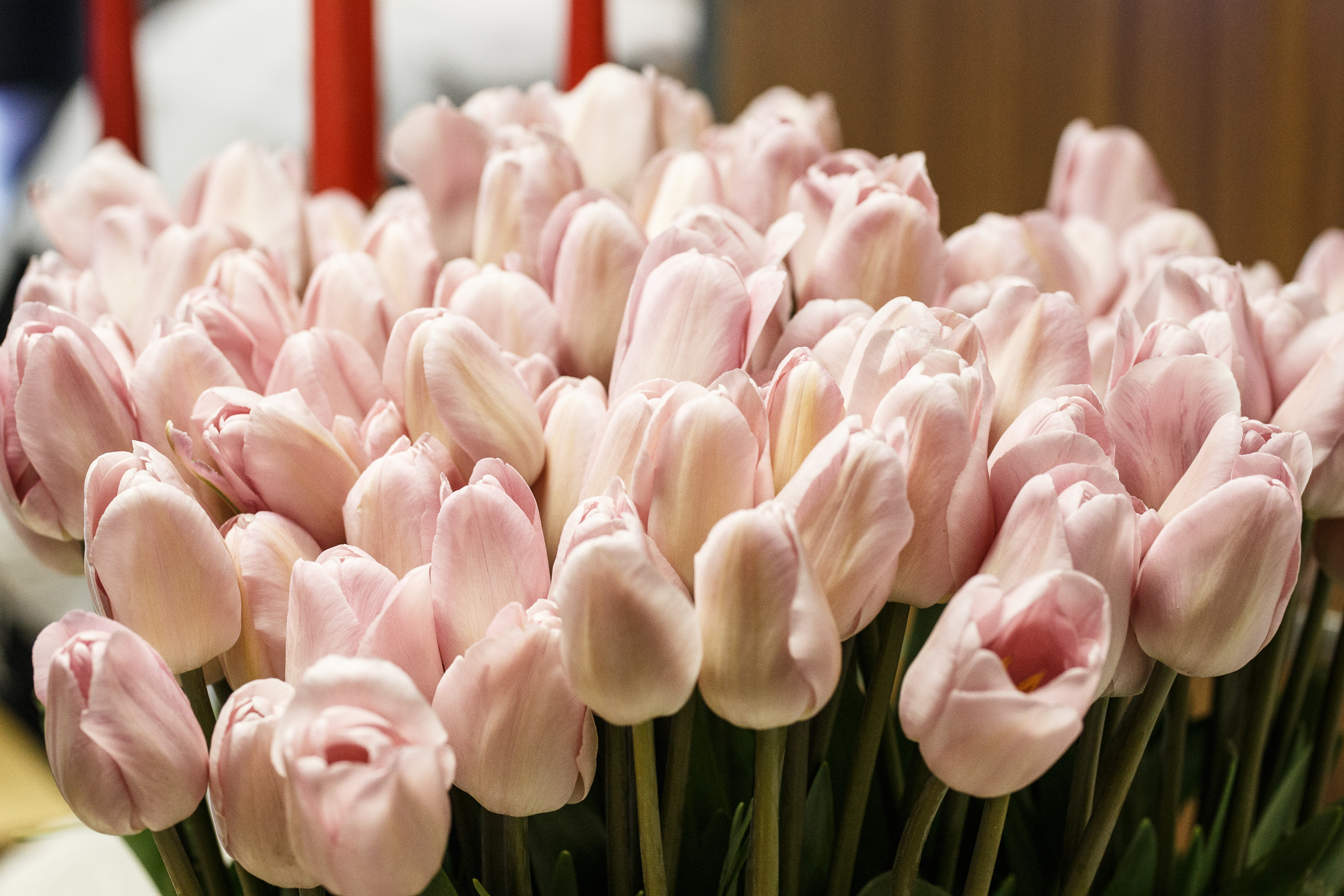 PR3. Репортажный фотограф Александр Задорин, Минск, Беларусь