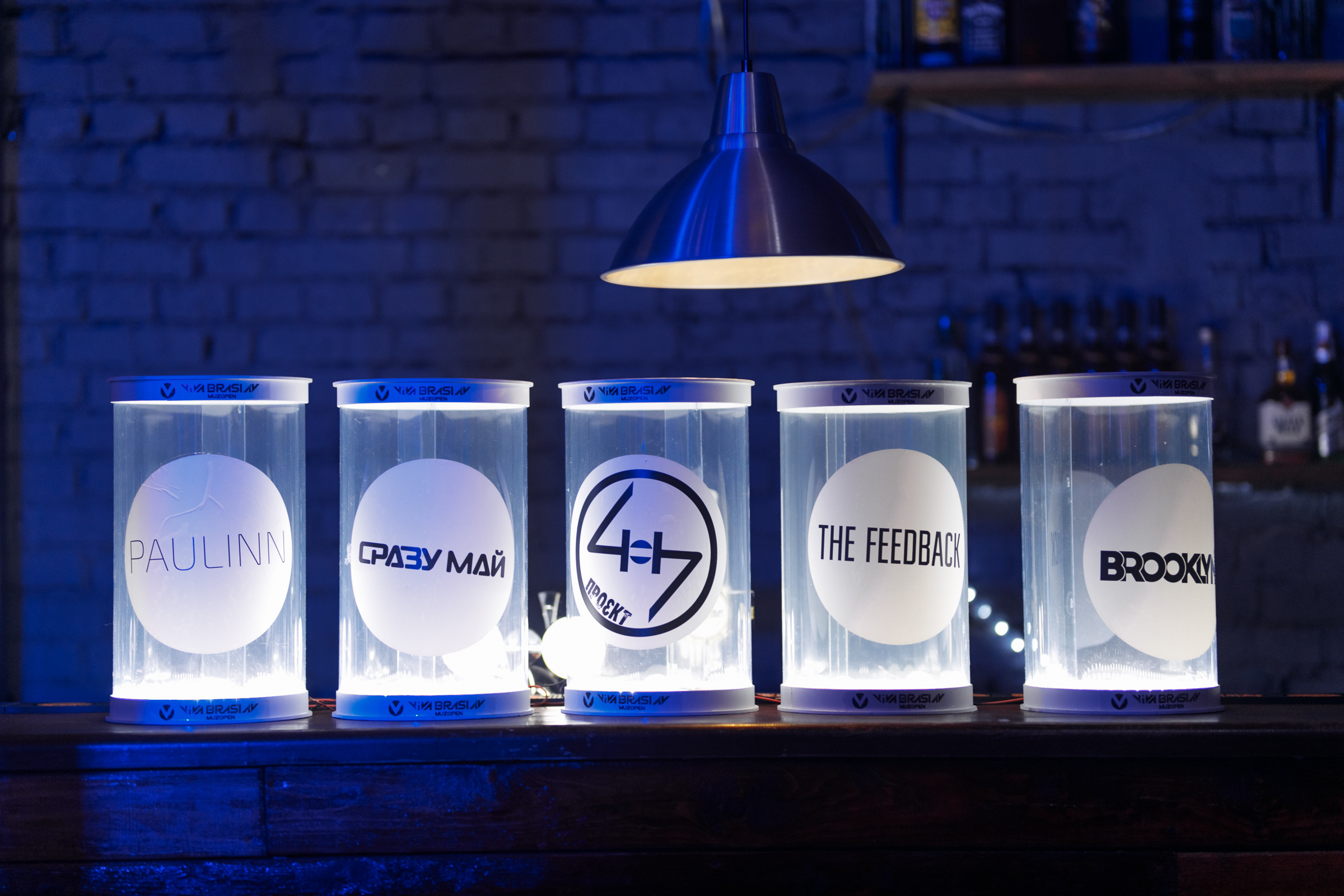 Отборочный POP|ROCK концерта Viva Braslav MuzOpen!. Репортажный фотограф Александр Задорин, Минск, Беларусь