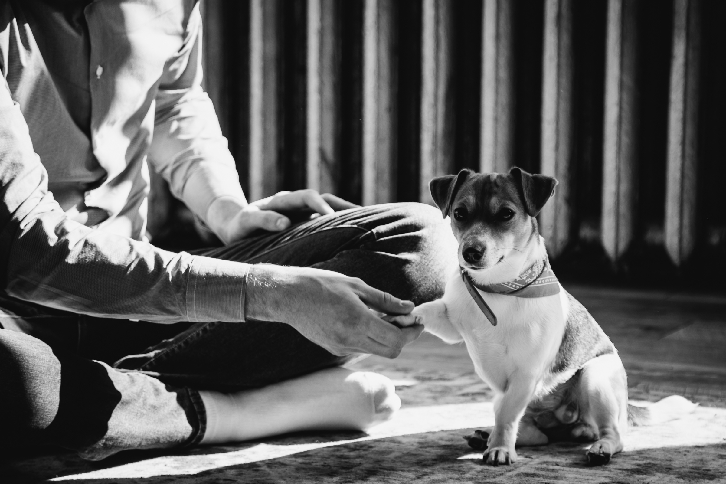 Алексей & Оксана. Репортажный фотограф Александр Задорин, Минск, Беларусь