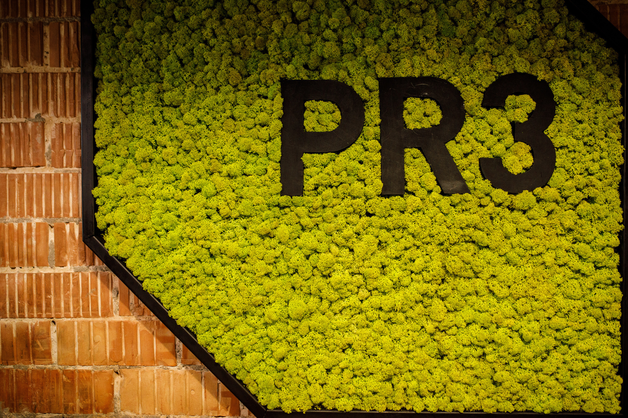 PR3. Репортажный фотограф Александр Задорин, Минск, Беларусь