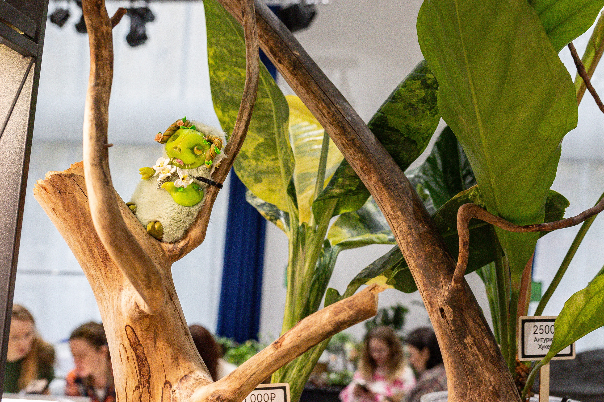 Монстериум 11–12 октября. Александра Куликова фотограф, Москва