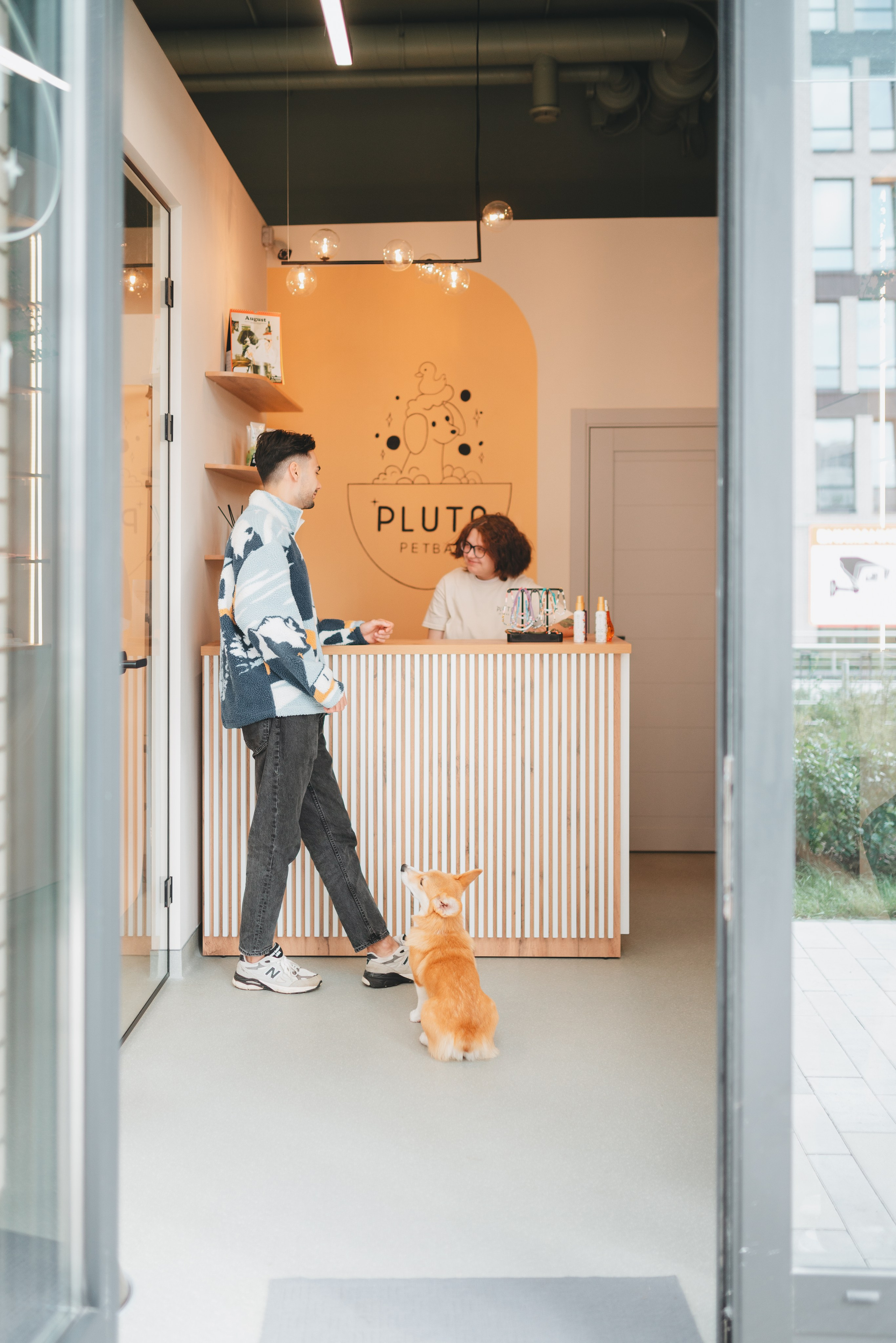 Груминг — салон. Фотограф анималист Осипчикова Мария