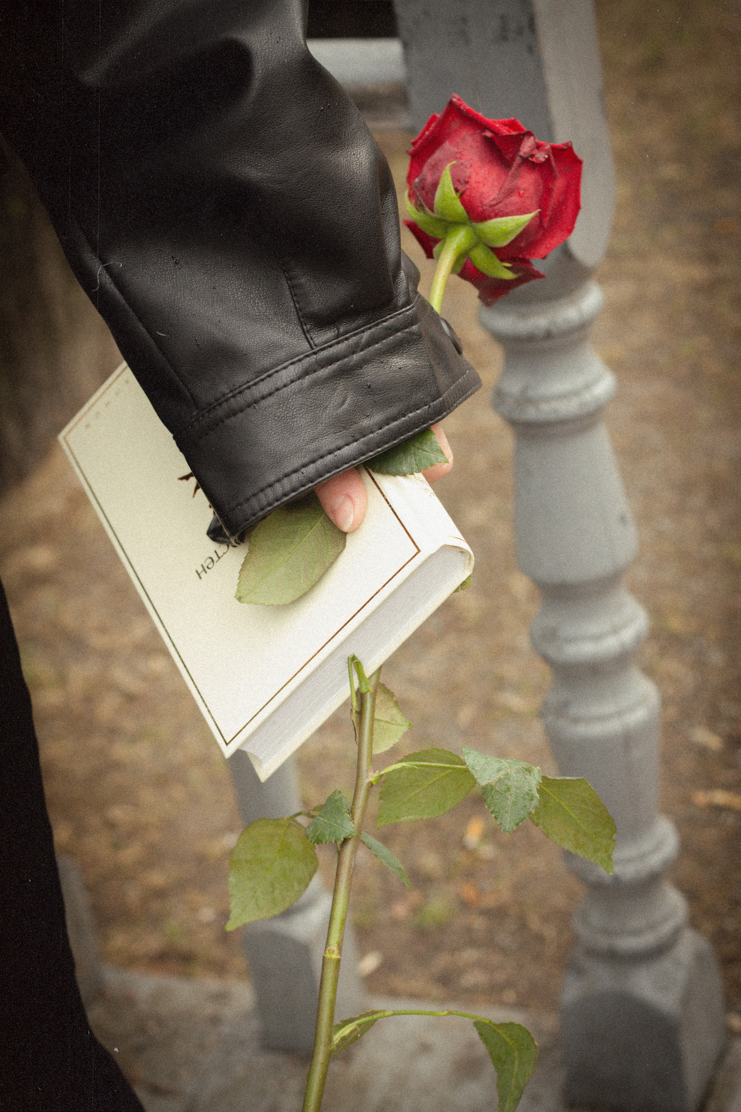 ALINA GOLDENBERG. Главная