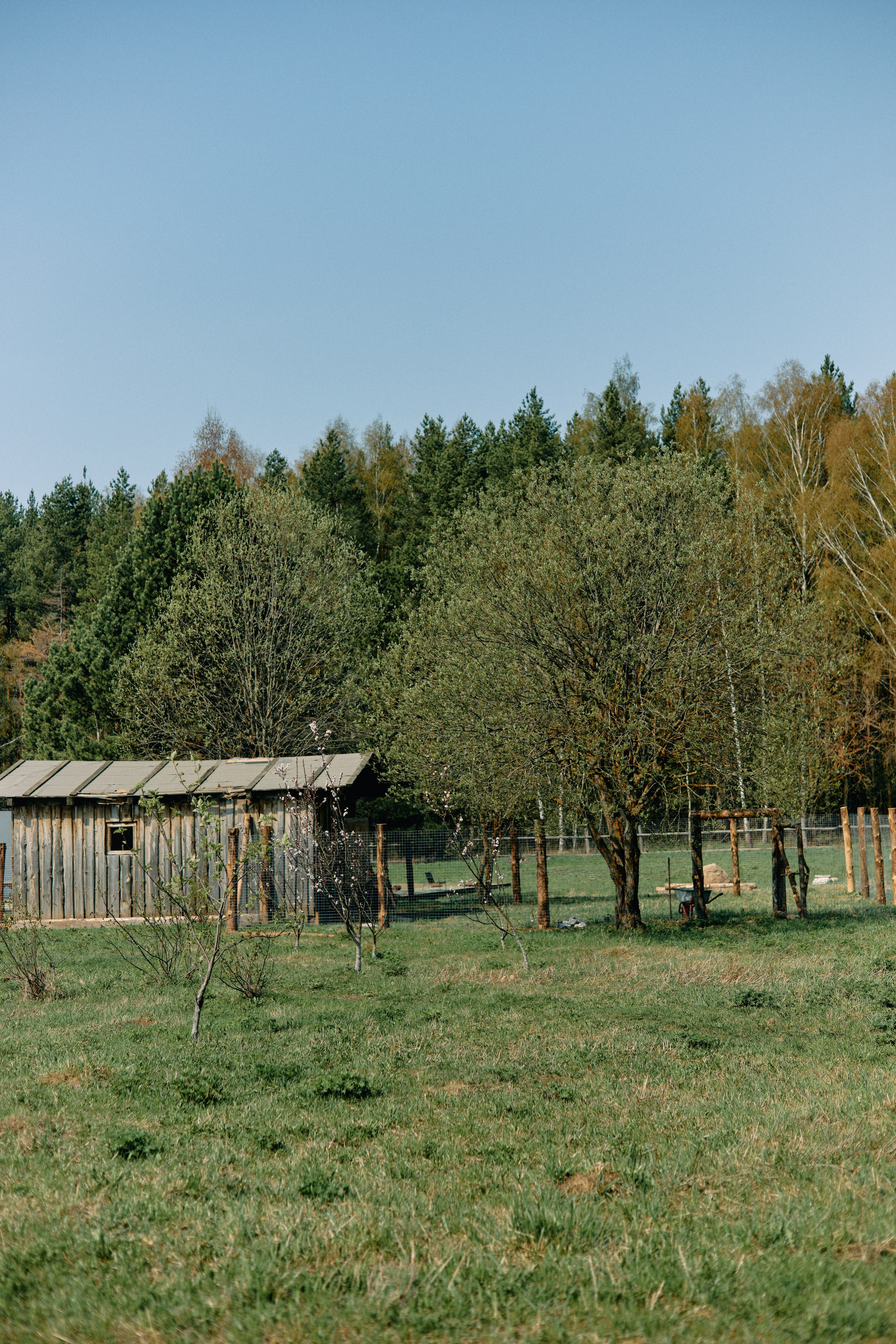 Бутик-отель Поле летом. Профессиональный Фотограф во Владимире, в Москве и в Суздале — Полина Романычева