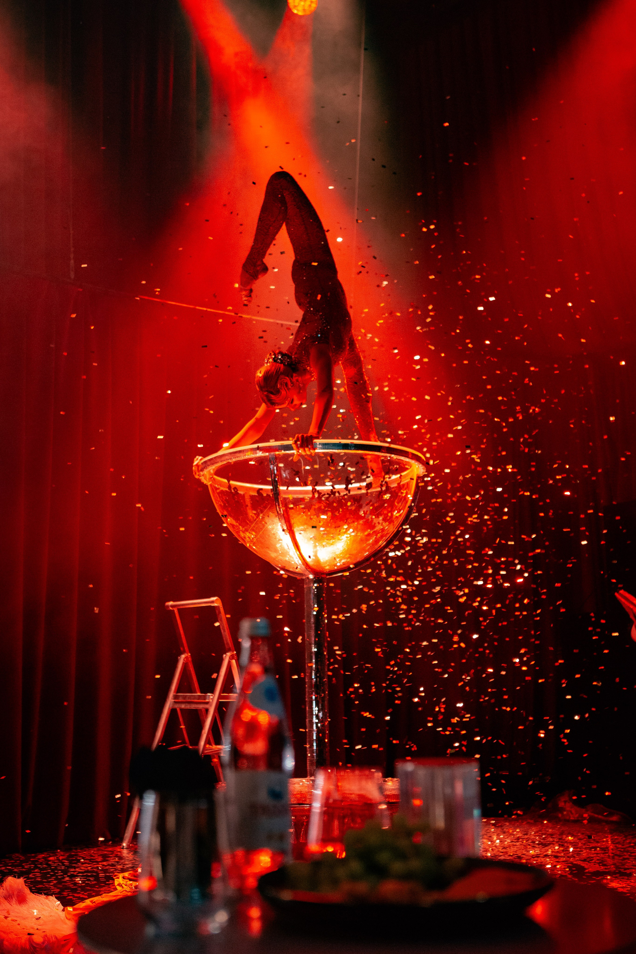 Цирковое шоу. Видеограф Добромыслов