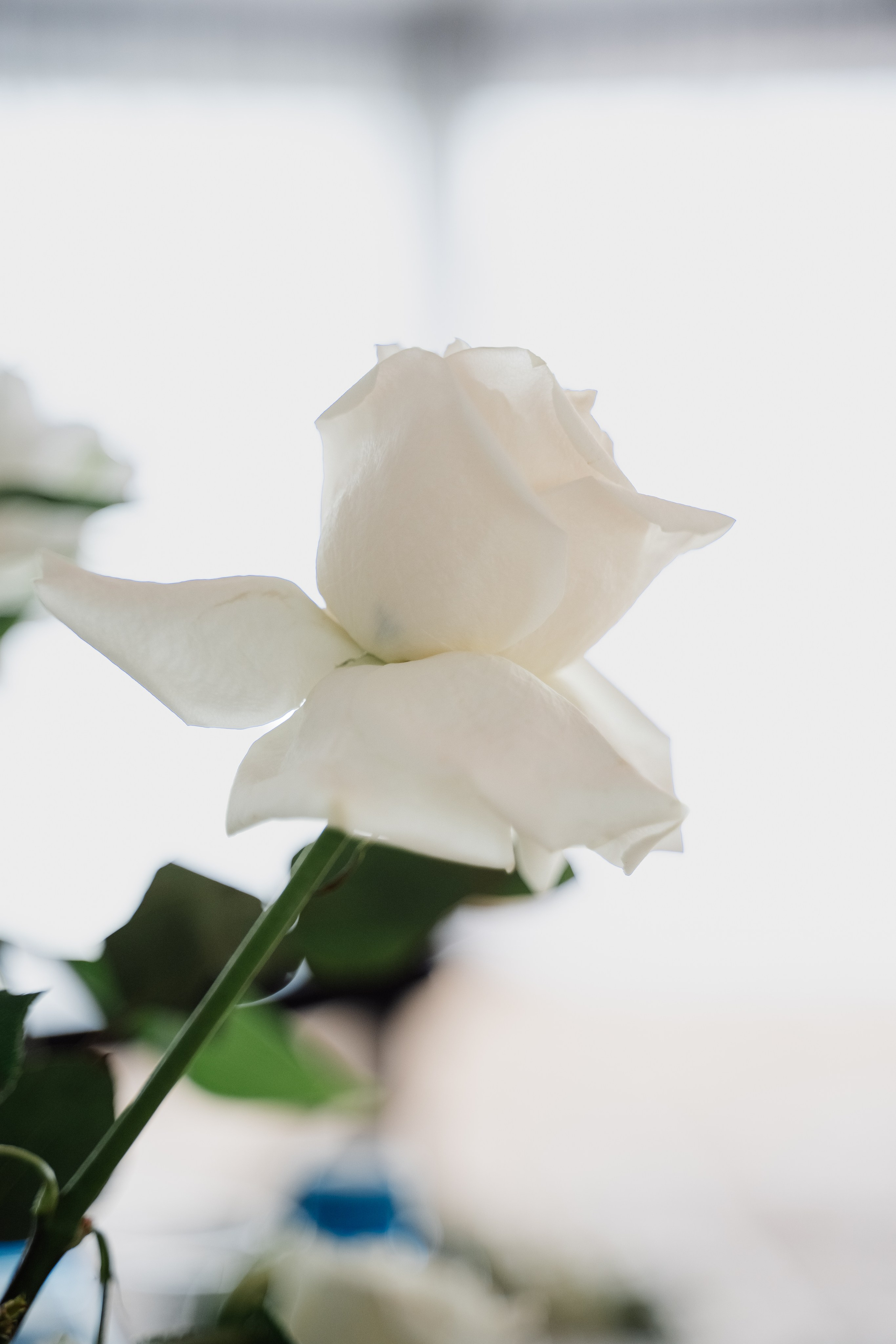 Оксана и Алексей. Фотограф Екатерина Горковенко, Абакан