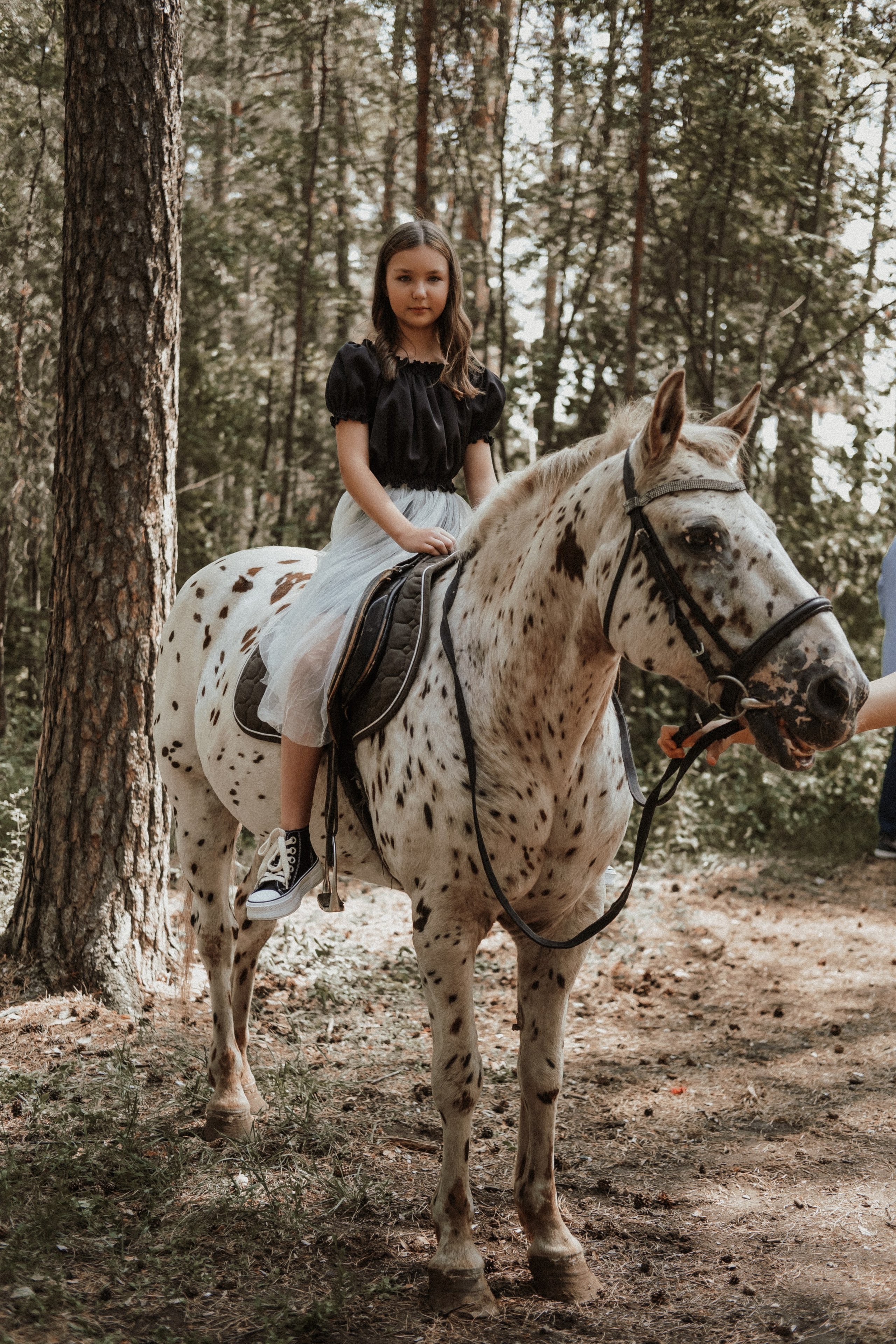 Виктор и Лидия. Свадебный фотограф Челябинск