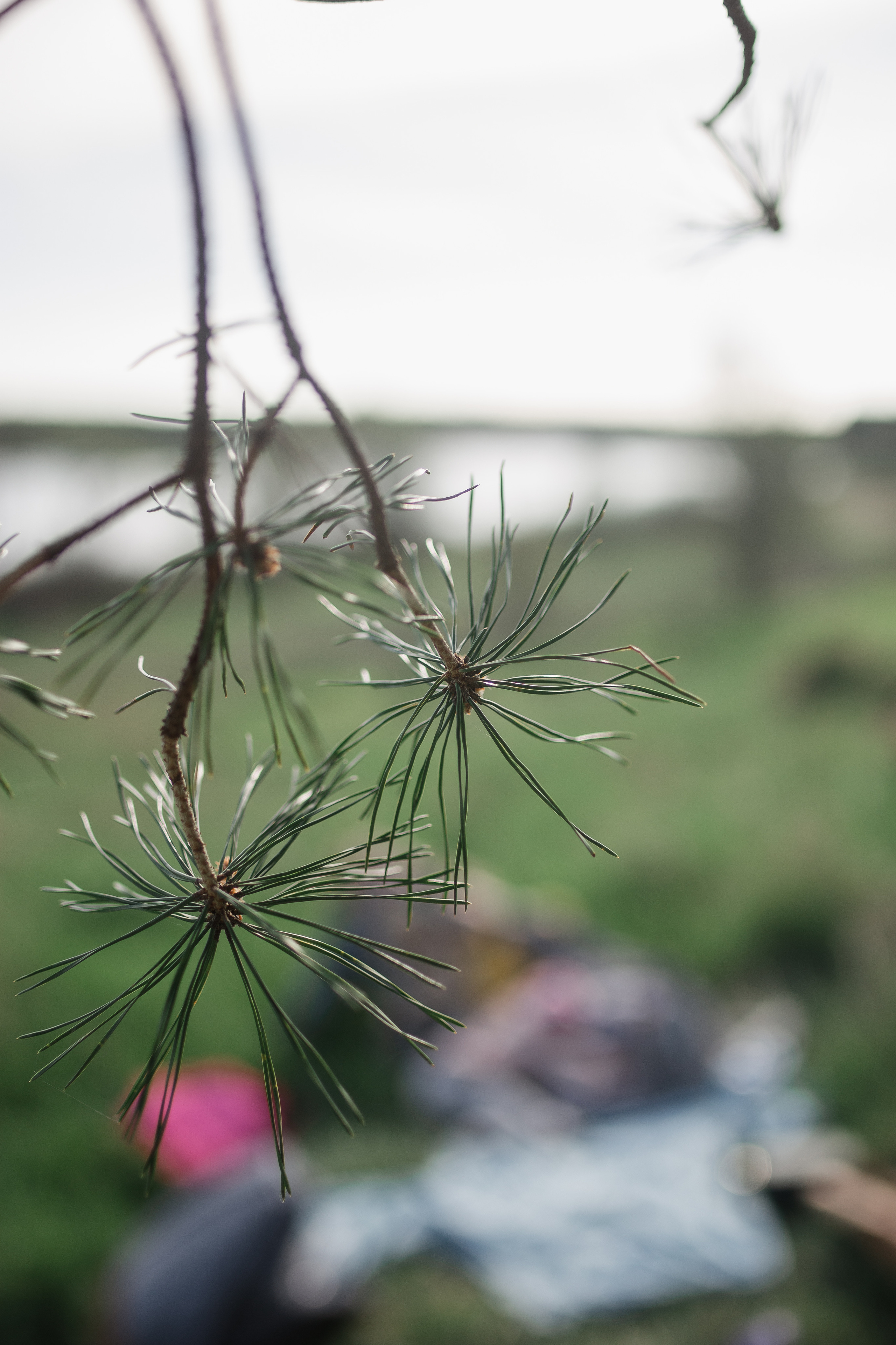 Мышкино. Анна Ларина — Lifestyle фотограф в Москве