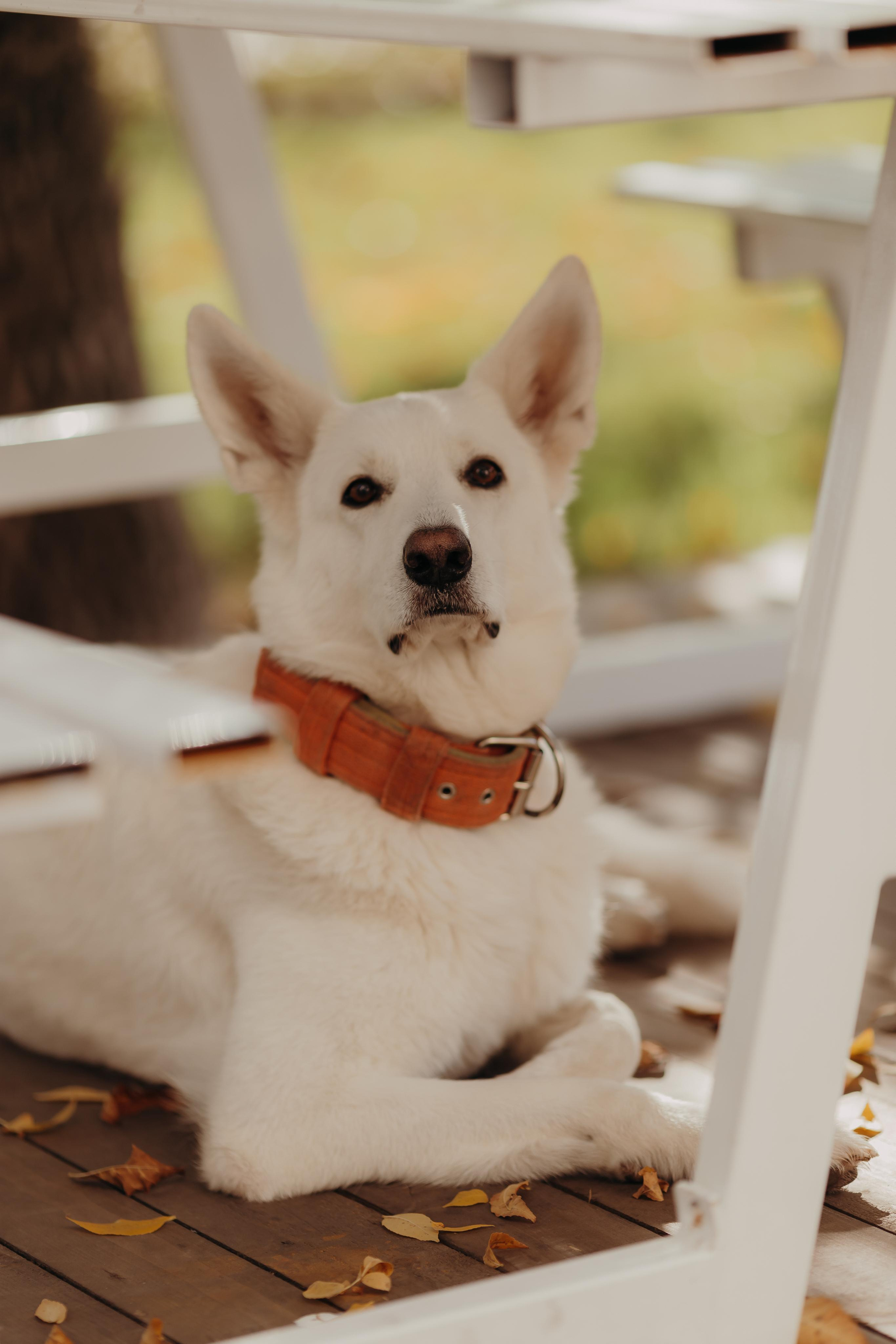 Даша, Коля и Илюша. Анна Ларина — Lifestyle фотограф в Москве