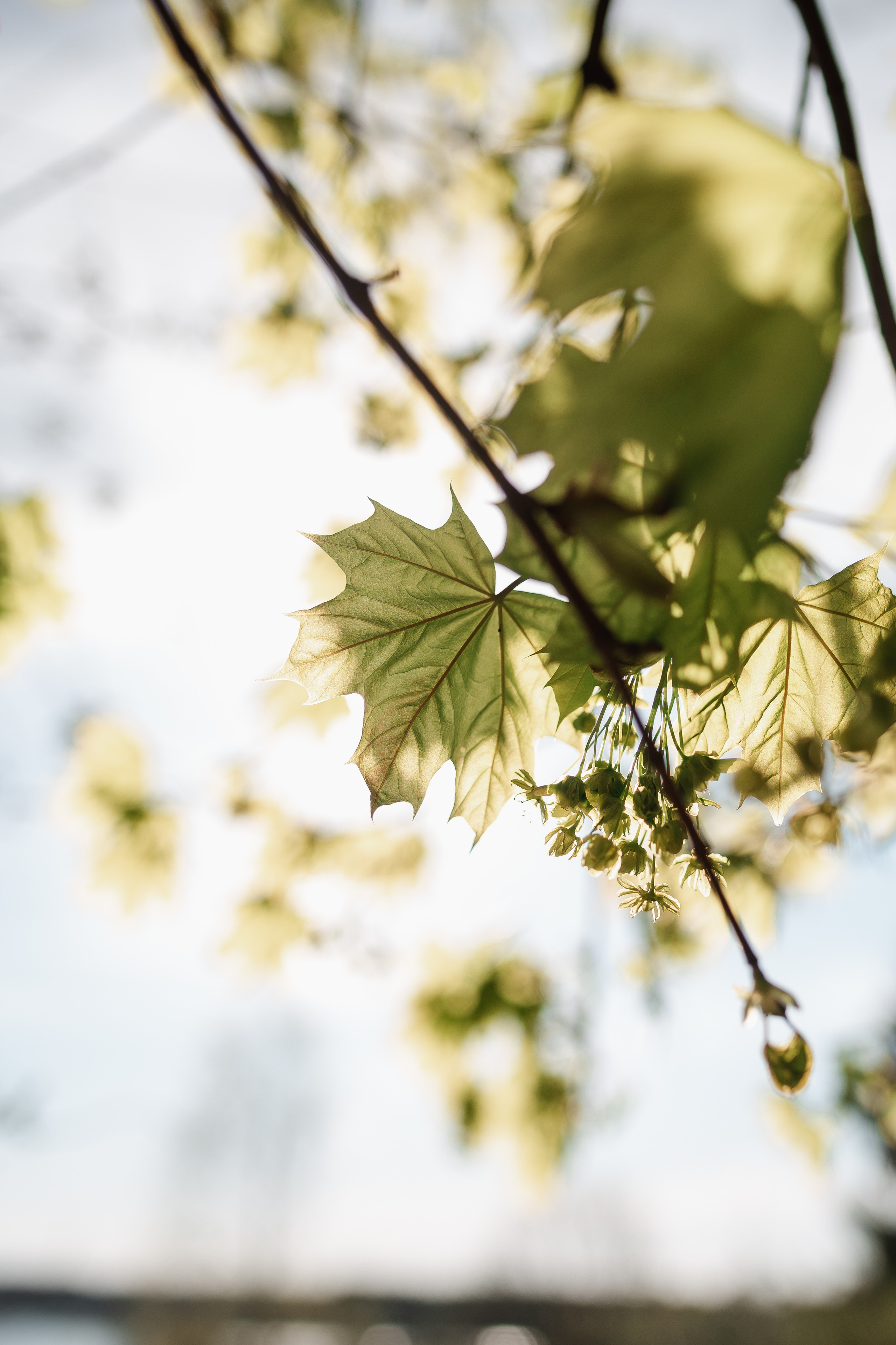 Мышкино. Анна Ларина — Lifestyle фотограф в Москве