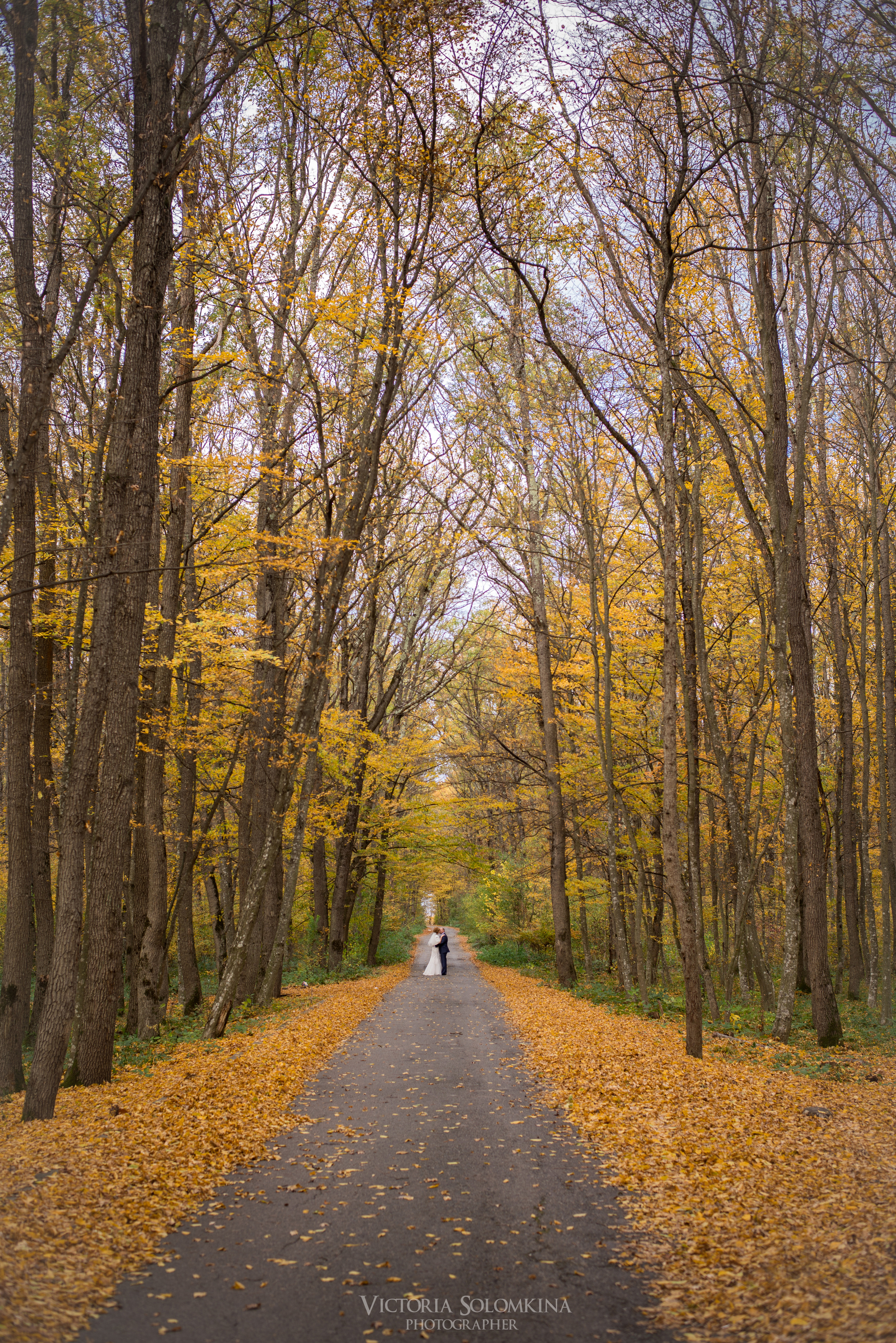 СВАДЕБНОЕ ФОТО. Профессиональный фотограф Виктория Соломкина. Майкоп-ЮФО