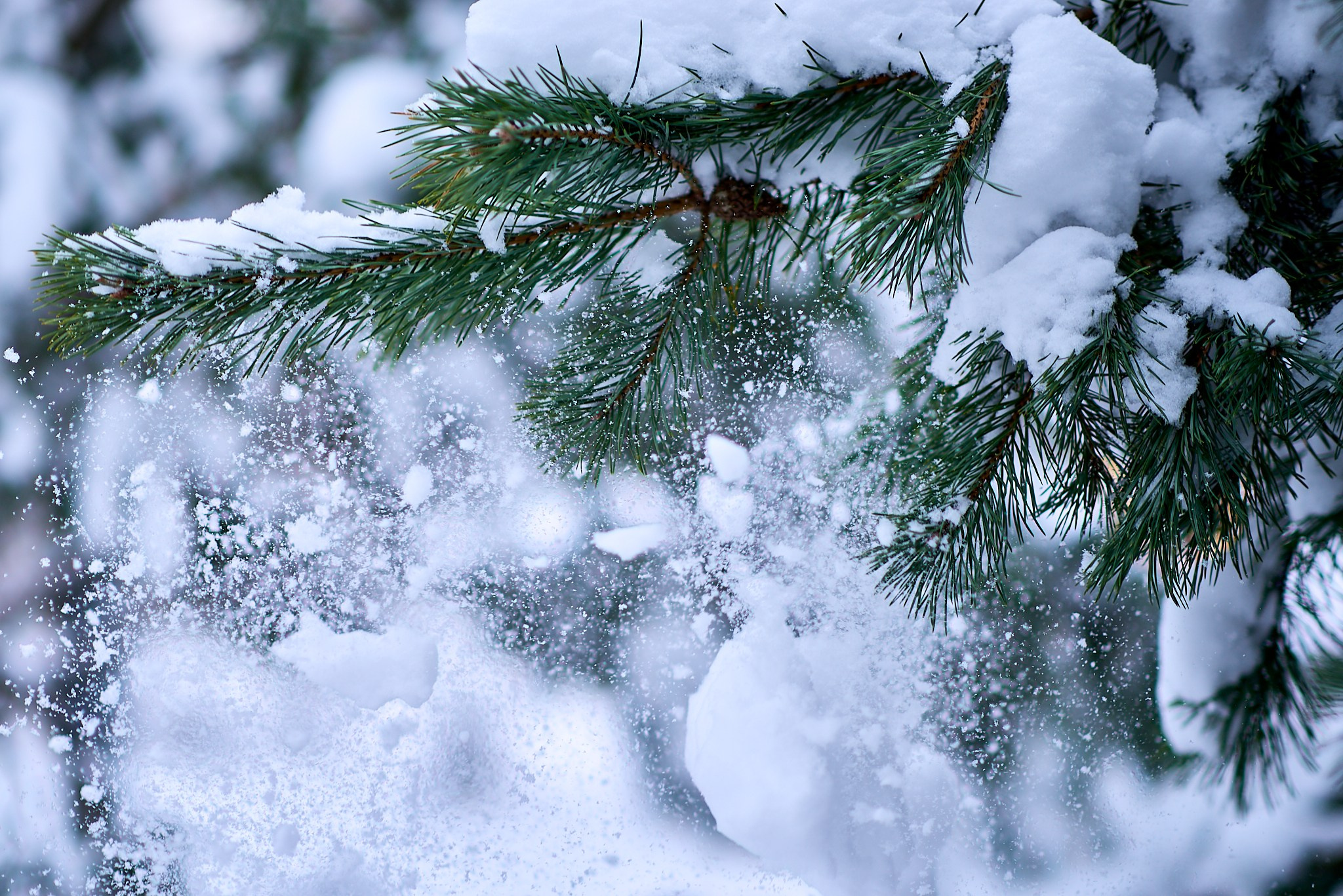 Уличный фотограф в Москве