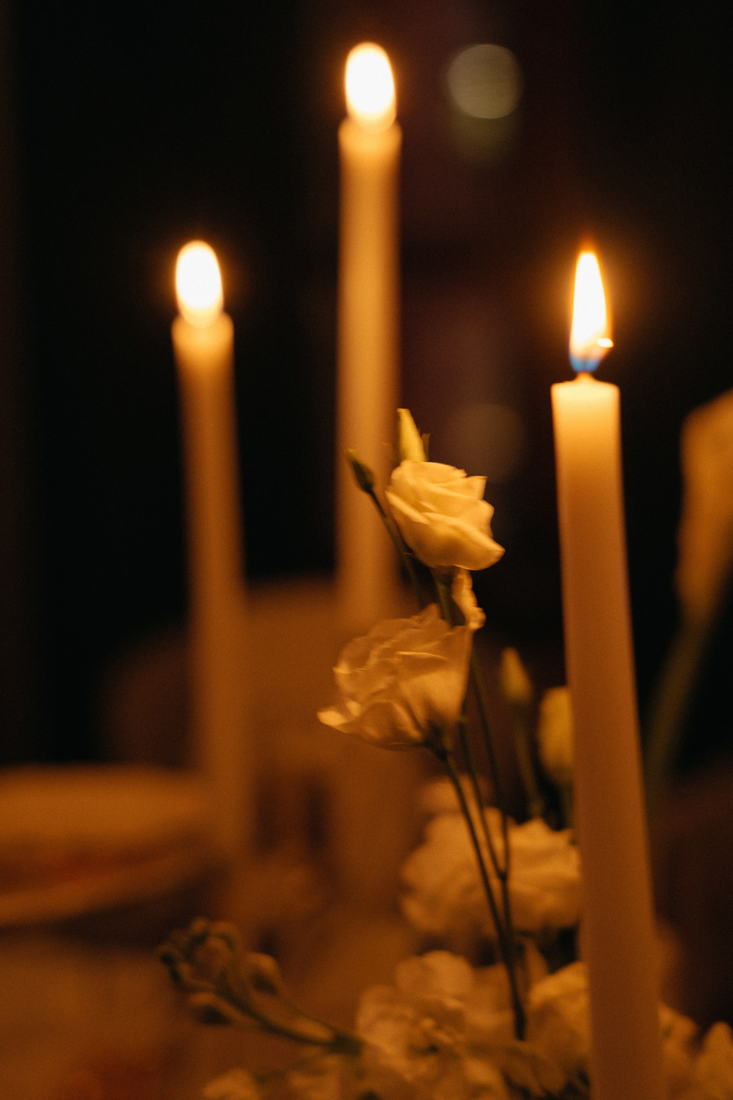 💍 |П+Е. Главная