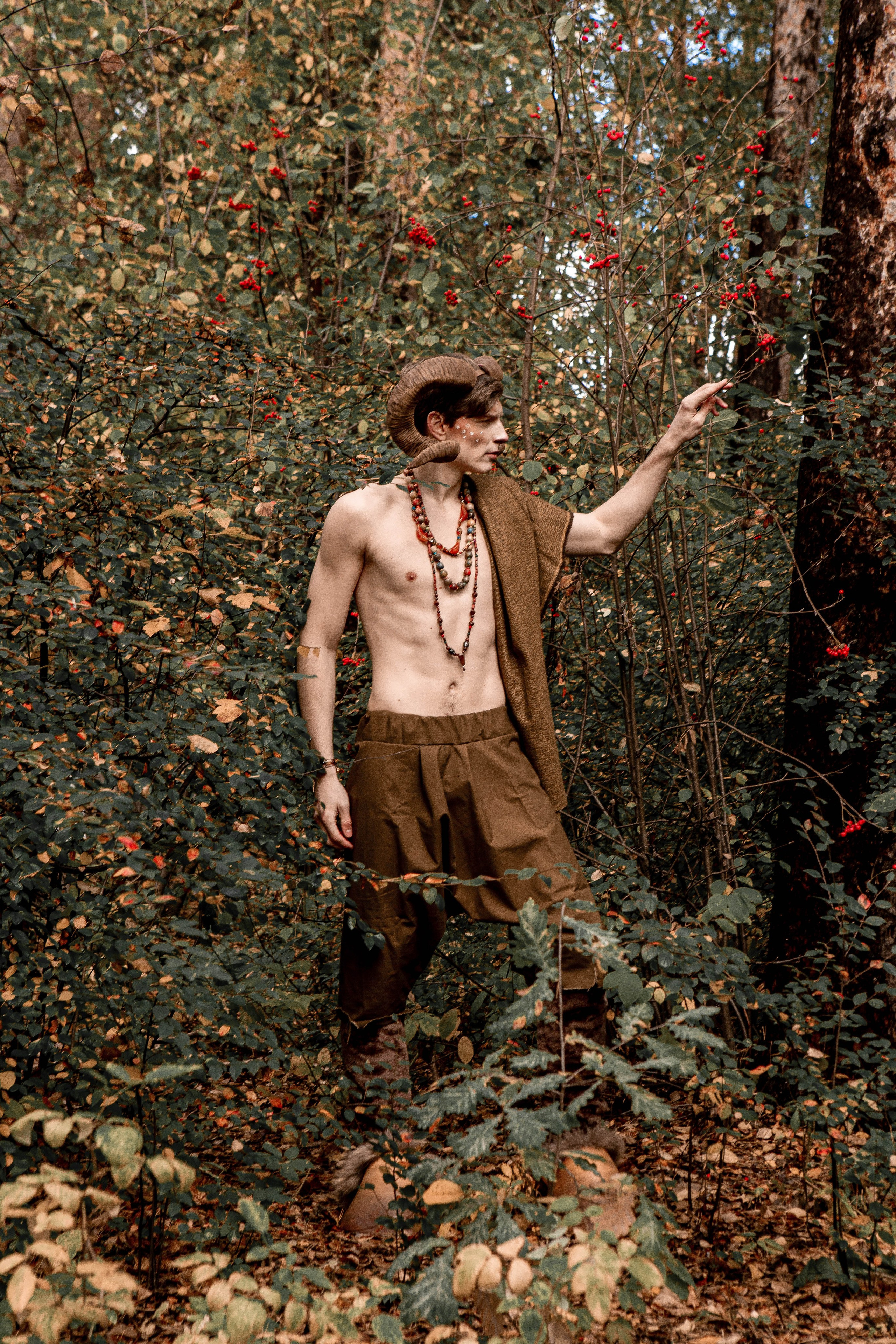 Волшебный лес. Фотограф Екатерина Голицына