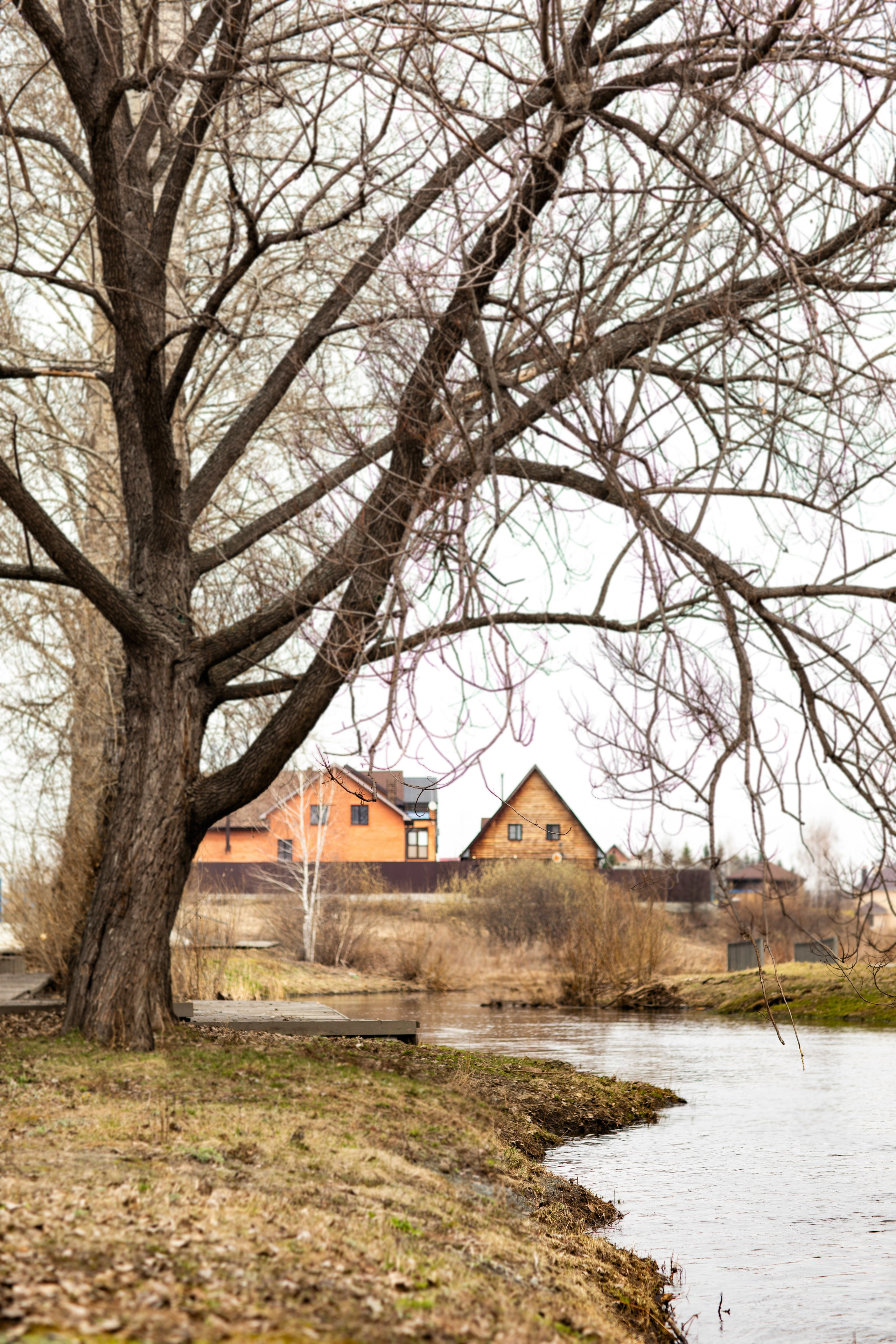 Фотопрогулки и сопровождение. Счастливый кадр