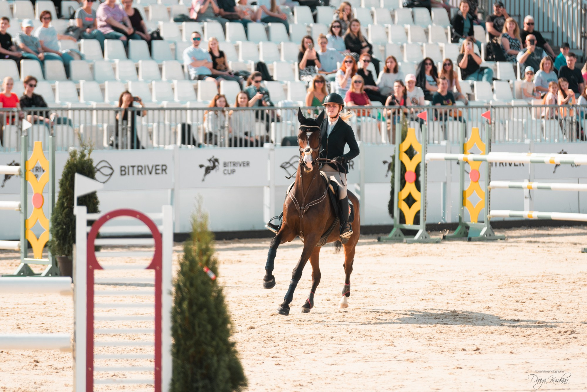 BITRIVER CUP 2023. Конный фотограф Куракина Дарья • Фотосессии с лошадьми