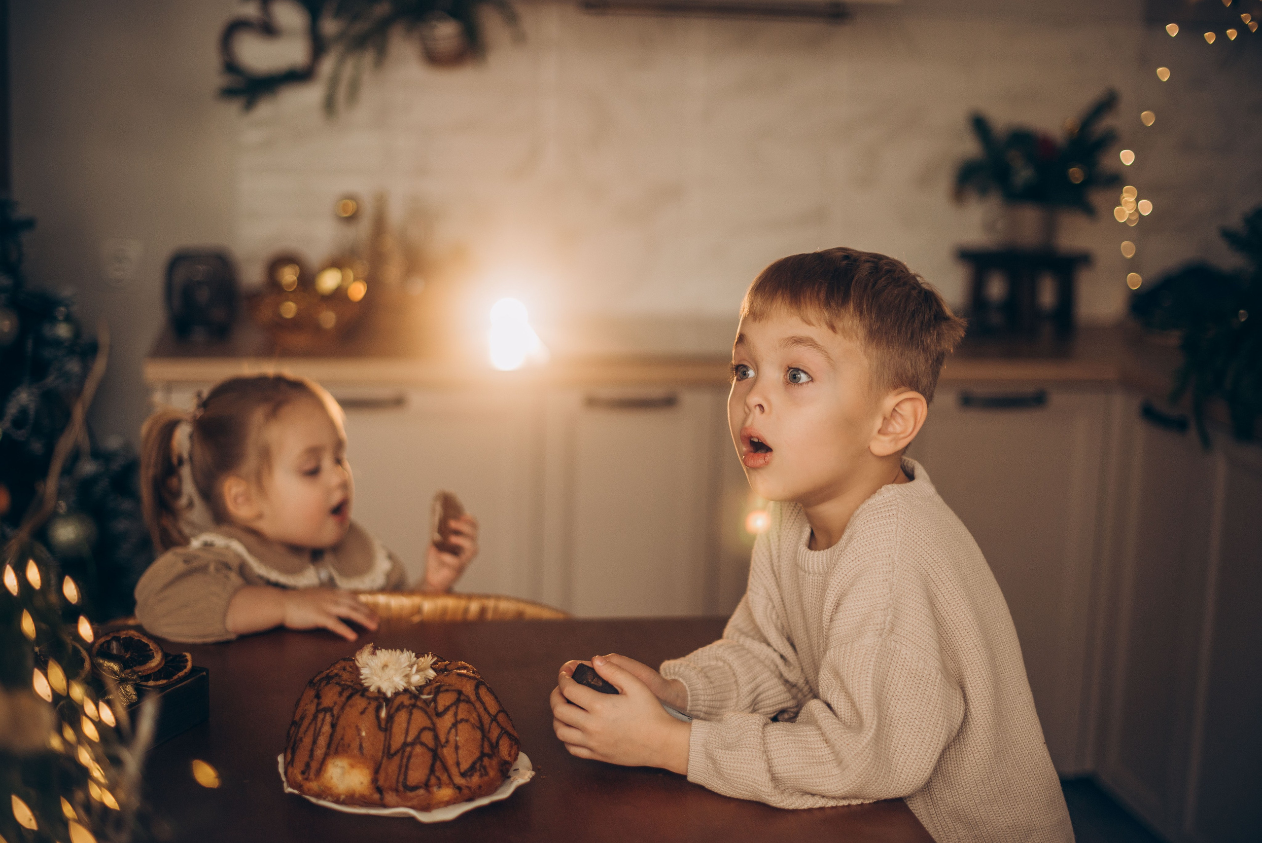 Семейная новогодняя фотосессия в студии. Семейный фотограф в Домодедово и Москве Елена Пичугина