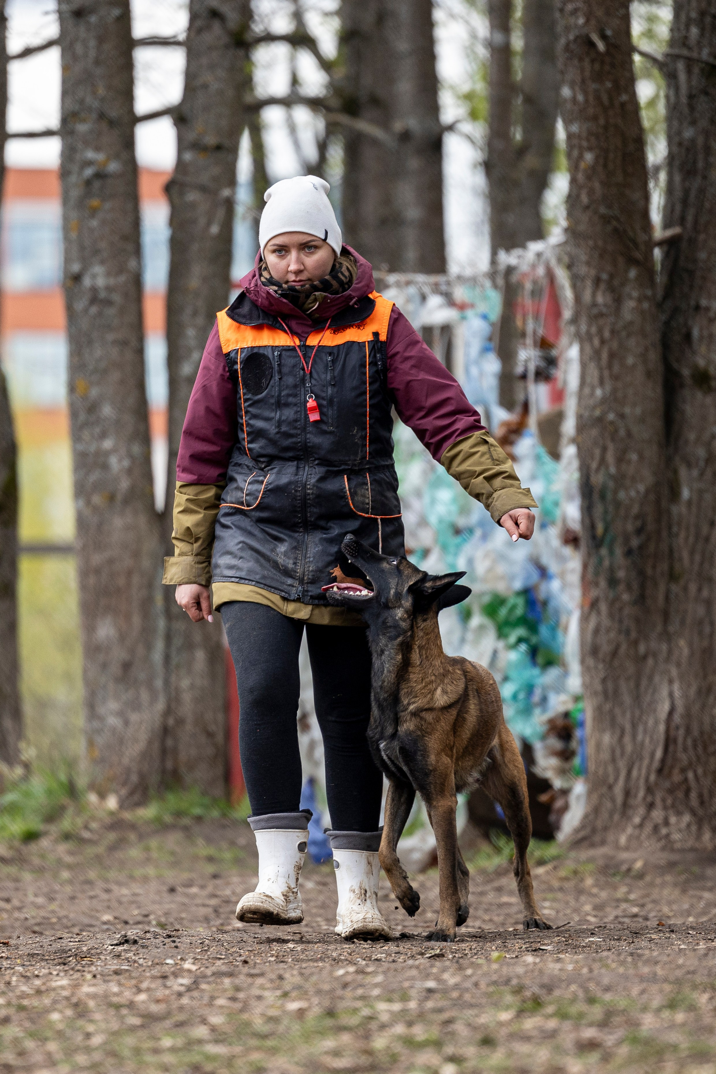 Квалификационные состязания по мондьорингу г. Вологда 11.05.24. Фотограф-анималист Анна Маринич