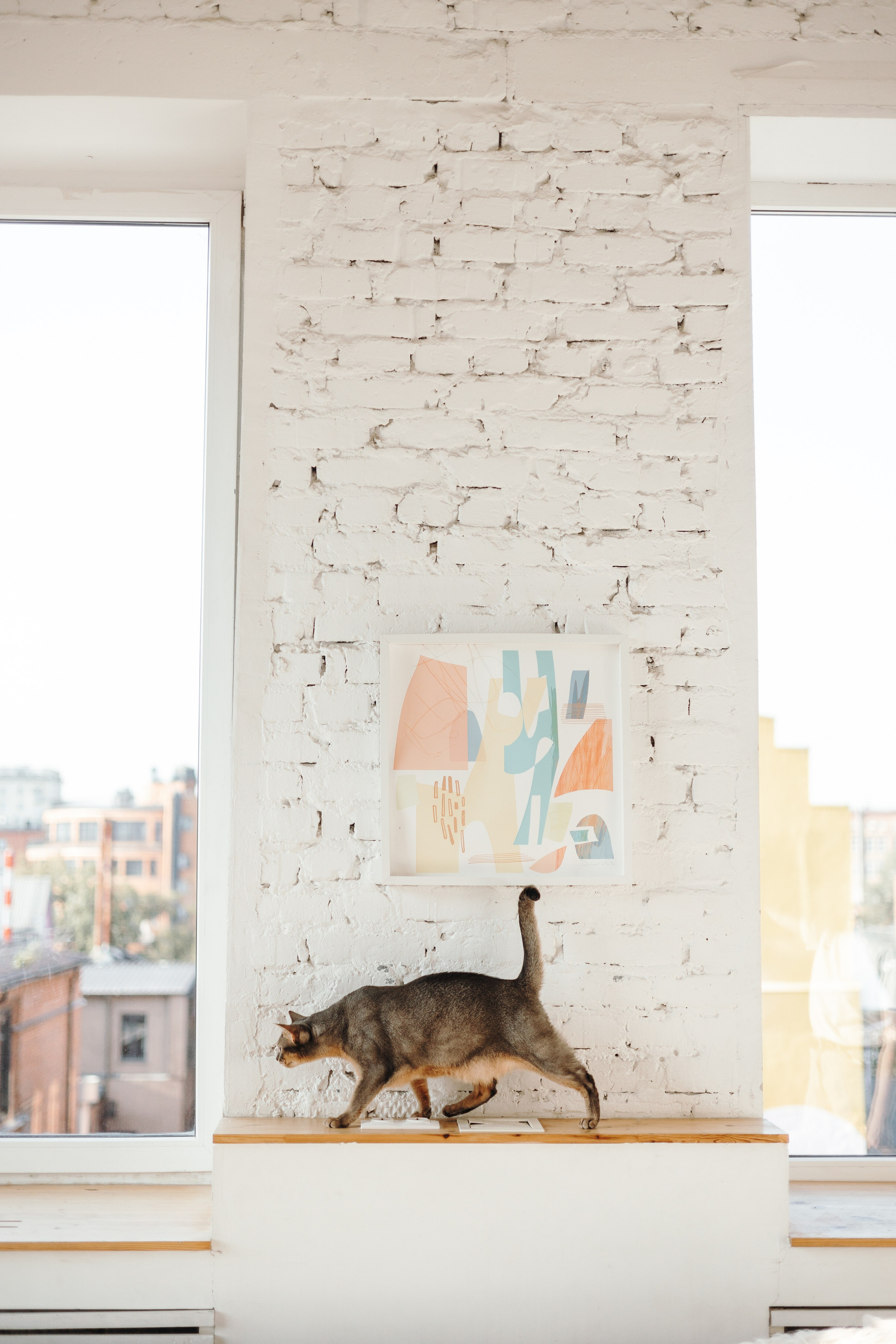 Циско и его семья. Фотограф — Анималист | Санкт-Петербург