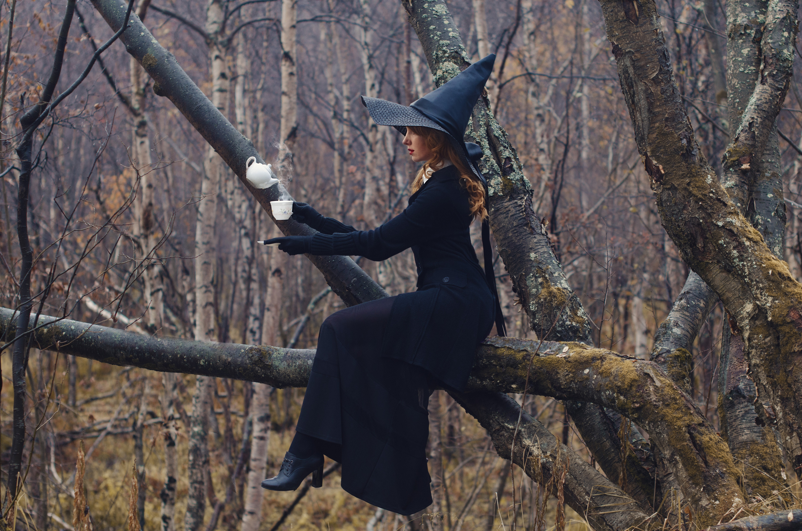 Ведьма на ветке наливает чай из заварочного чайника